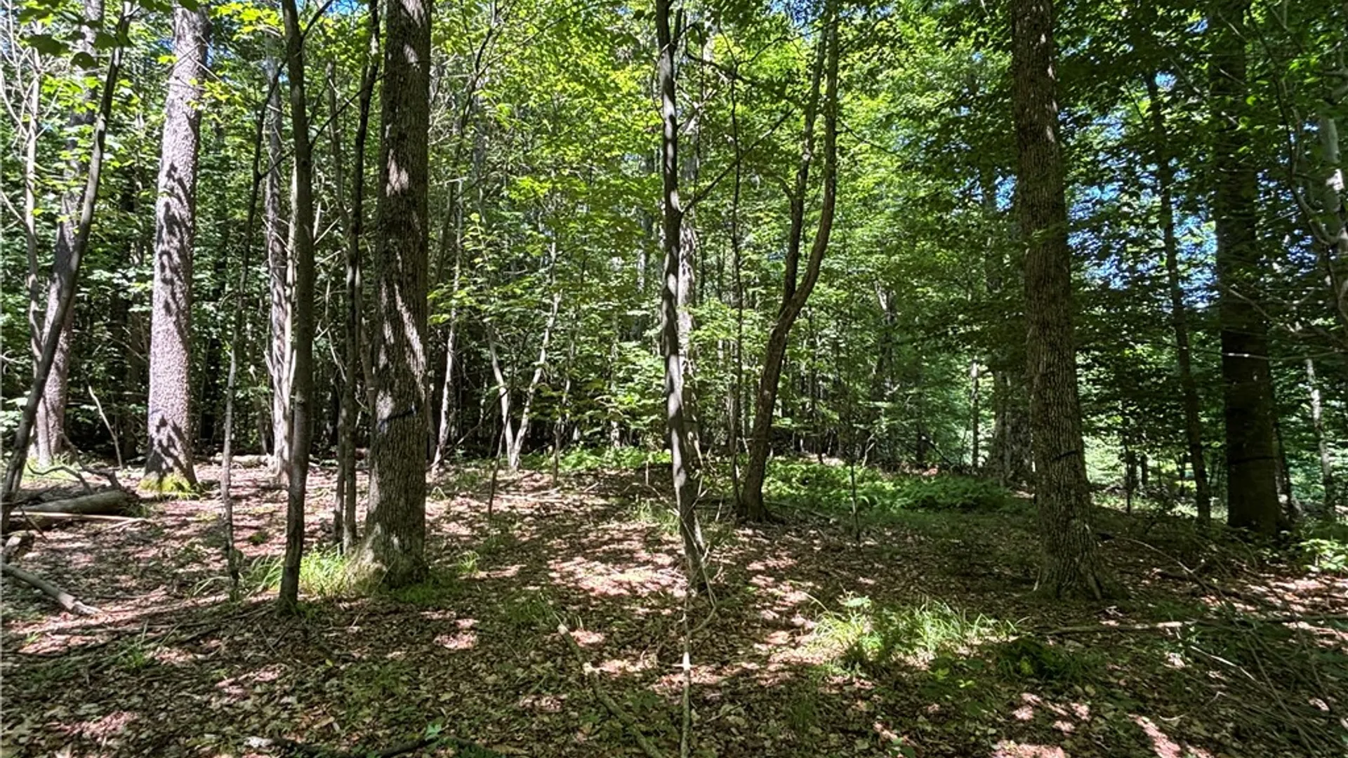 Property at 0 McKee Hill Road, Kortright, NY 13757 13