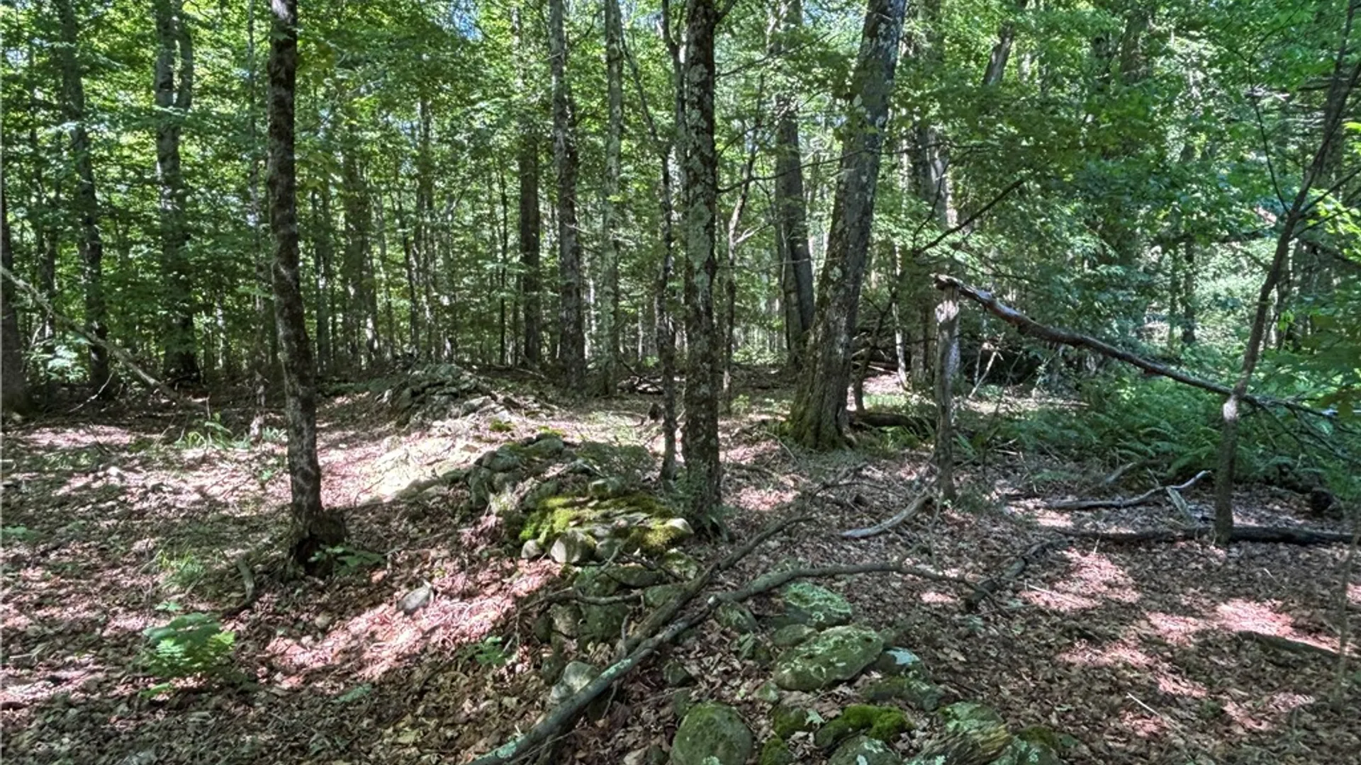 Property at 0 McKee Hill Road, Kortright, NY 13757 11