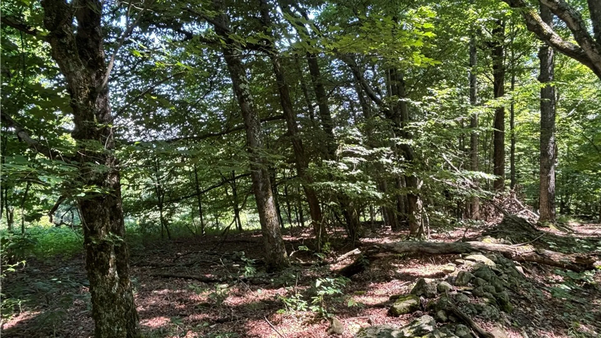Property at 0 McKee Hill Road, Kortright, NY 13757 10