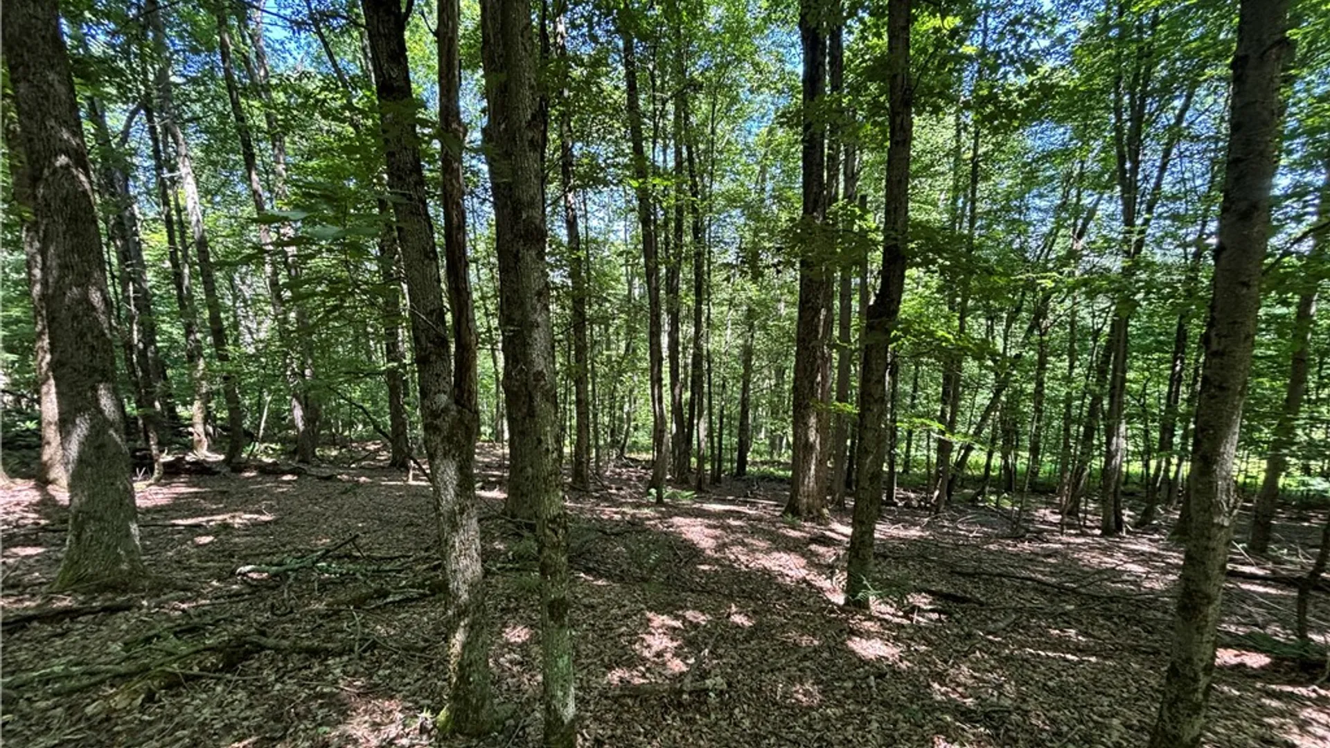 Property at 0 McKee Hill Road, Kortright, NY 13757 6