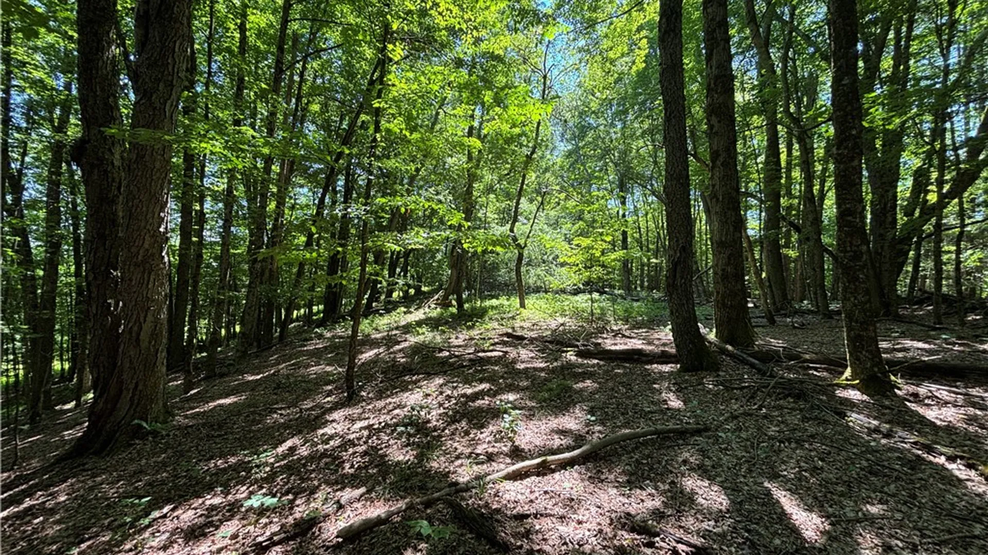 Property at 0 McKee Hill Road, Kortright, NY 13757 5
