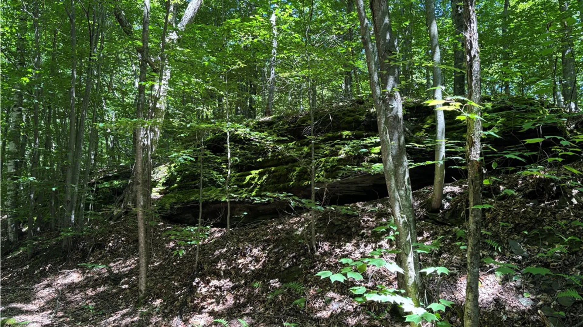 Property at 0 McKee Hill Road, Kortright, NY 13757 4