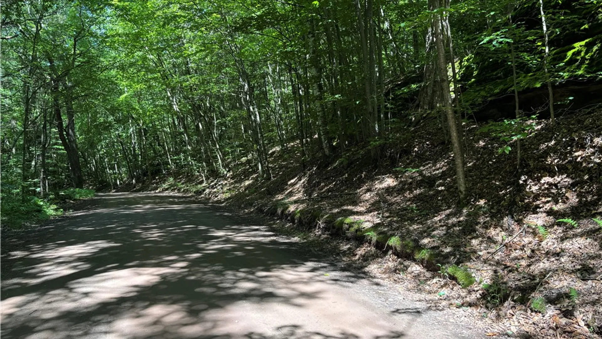 Property at 0 McKee Hill Road, Kortright, NY 13757 15