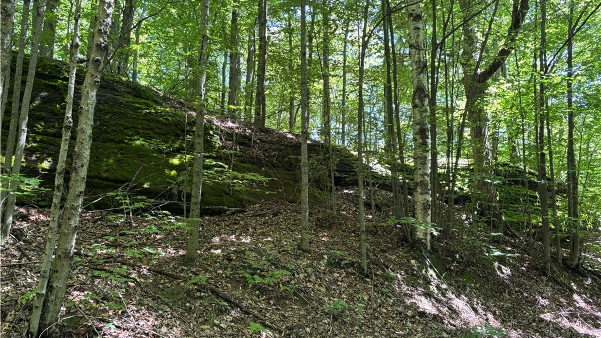 Property at 0 McKee Hill Road, Kortright, NY 13757 3
