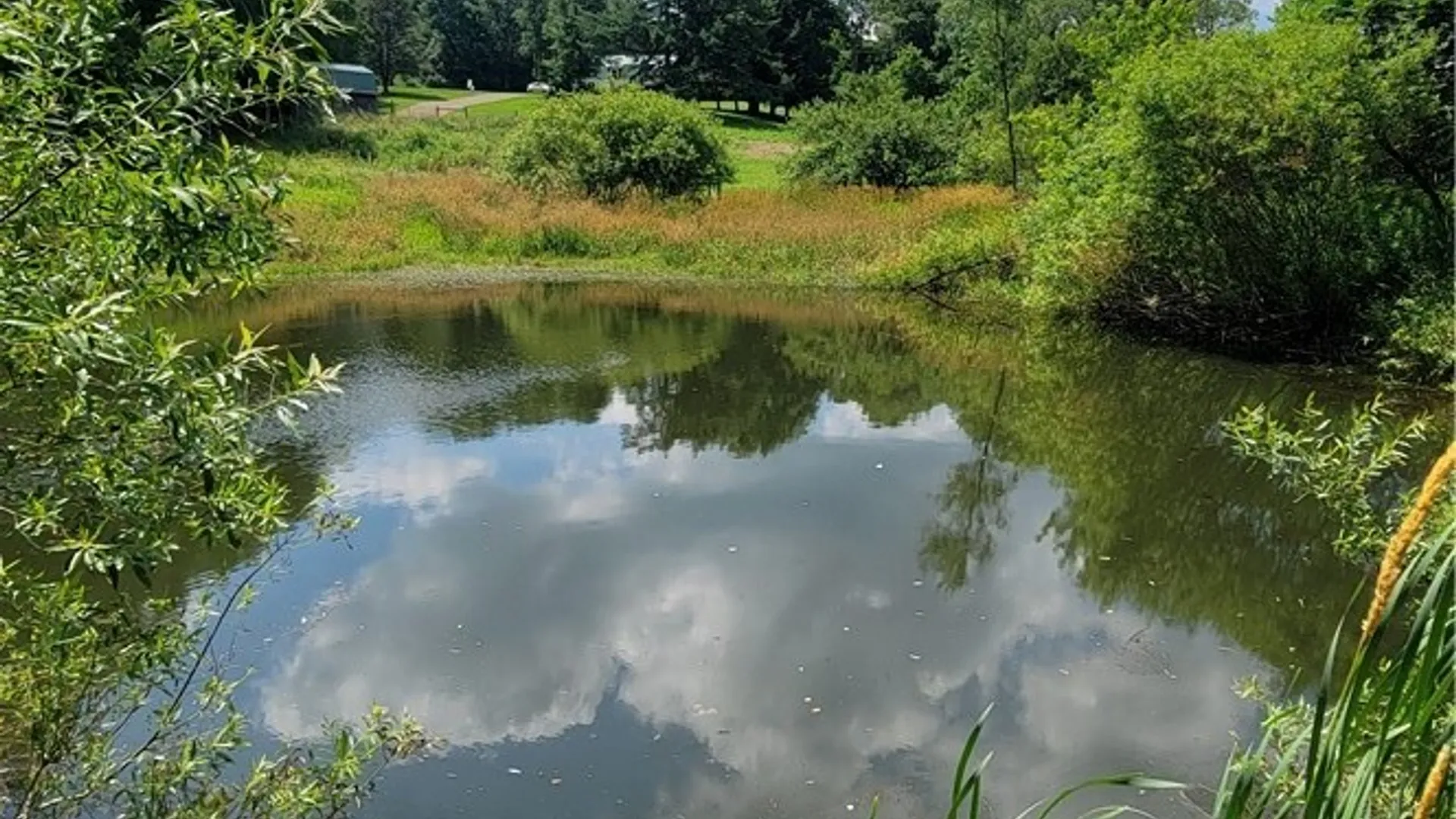 Property at 3706 Route 242, Machias, NY 14101 4
