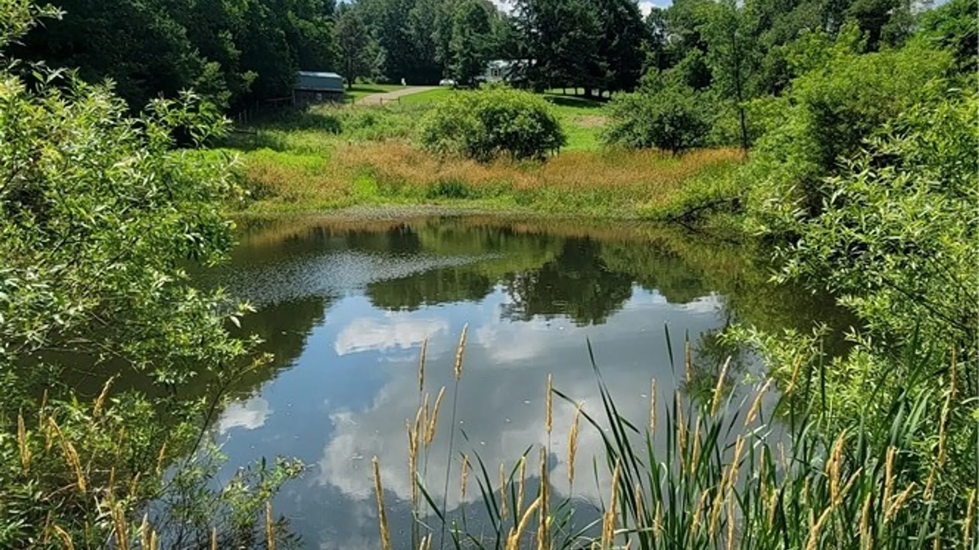 Property at 3706 Route 242, Machias, NY 14101 50