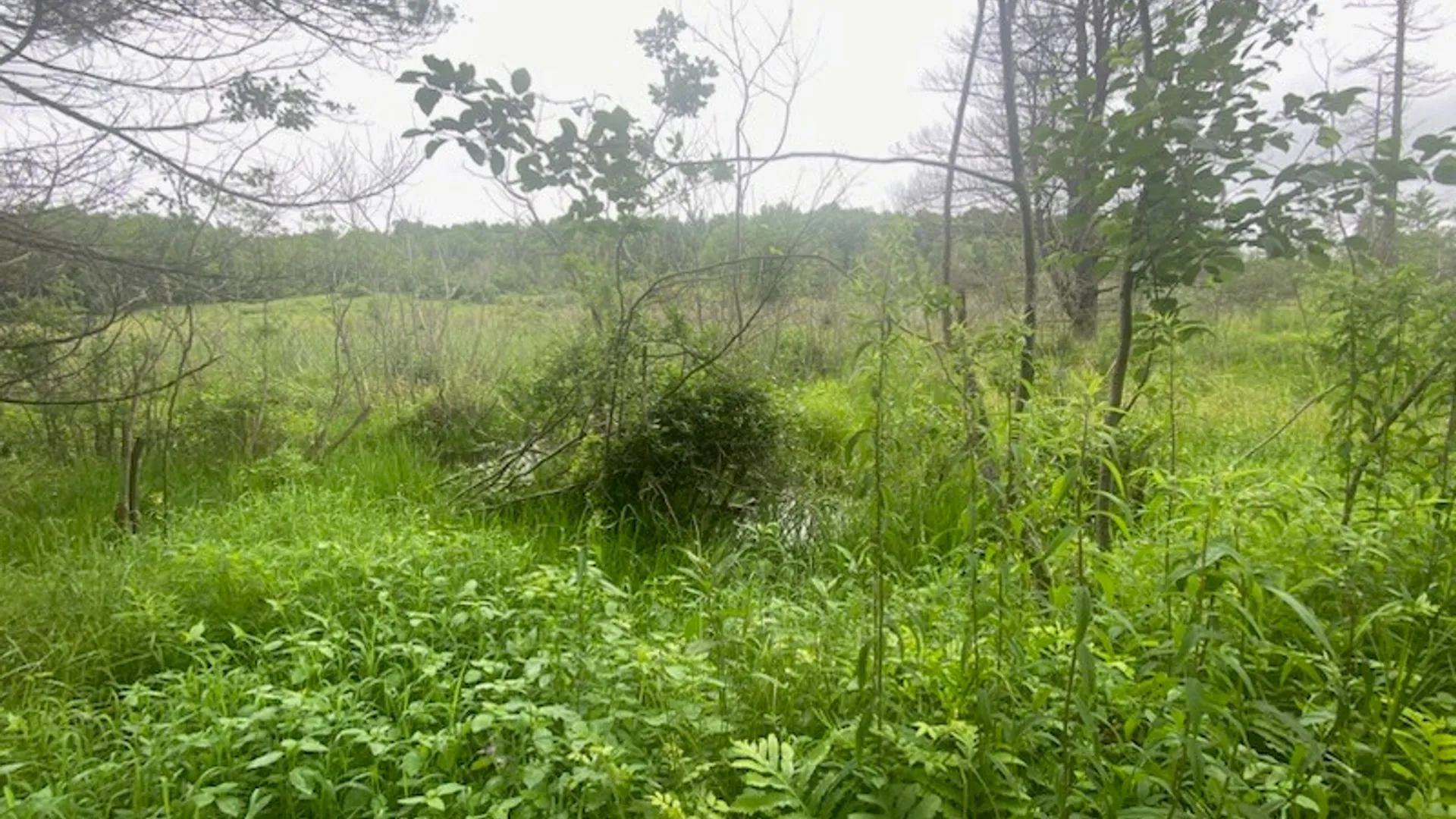Property at Marsh Road, Caton, NY 14858 2
