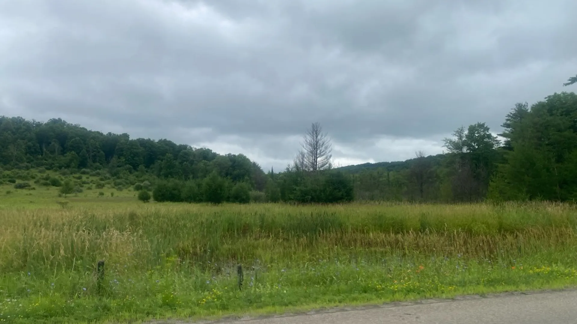 Property at Marsh Road, Caton, NY 14858 3