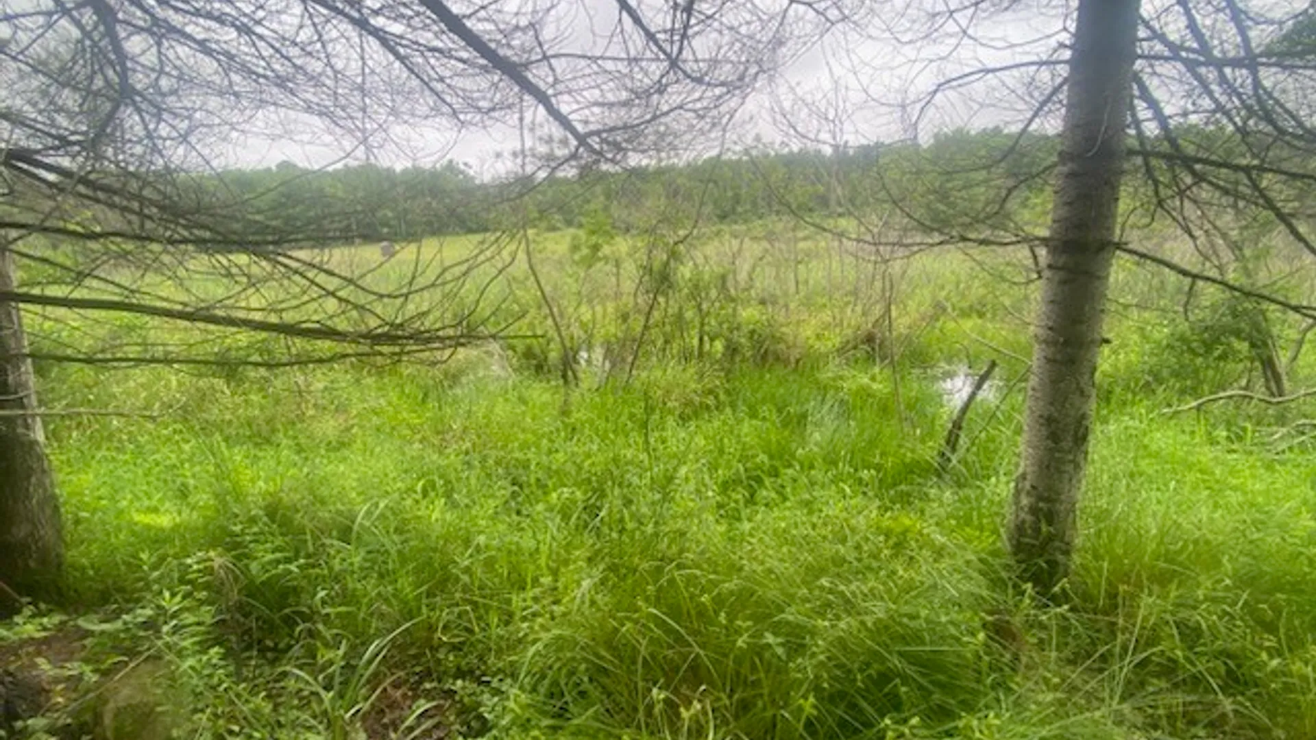 Property at Marsh Road, Caton, NY 14858 4
