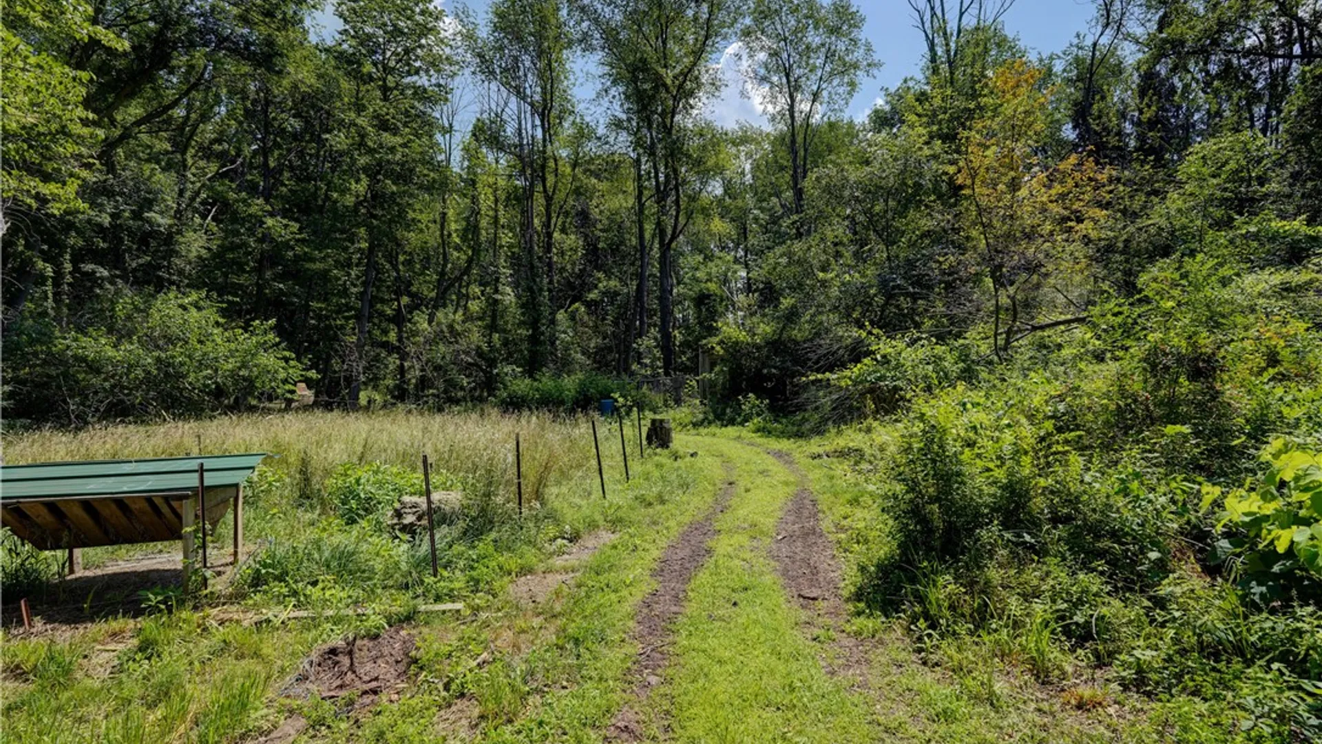 Property at 4919 Upper Holley Rd, Clarendon, NY 14470 35