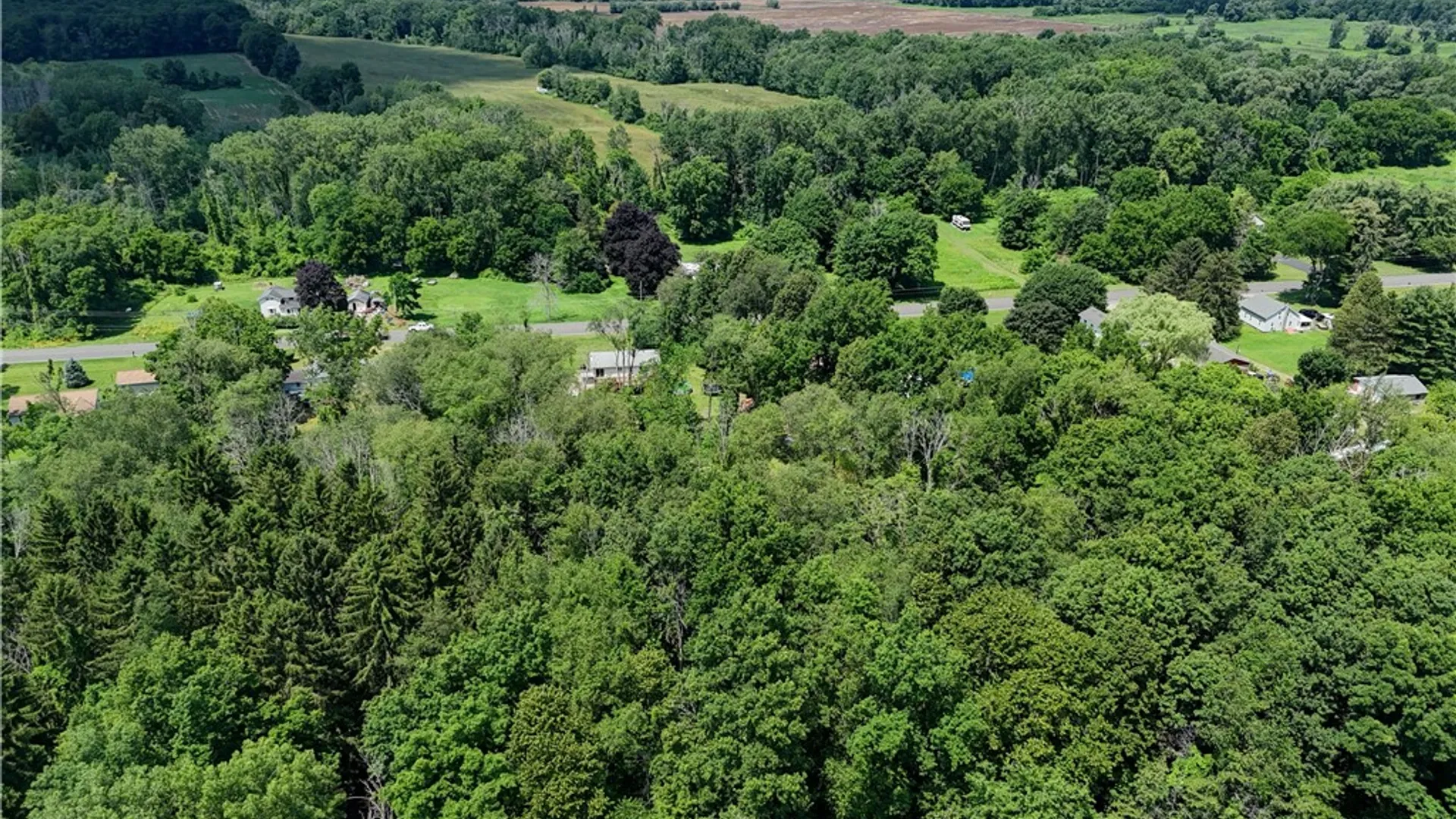 Property at 4919 Upper Holley Rd, Clarendon, NY 14470 49