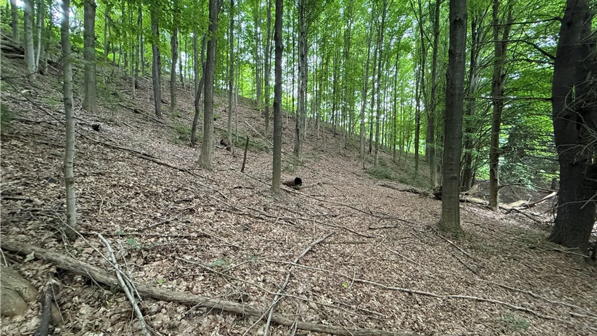 Property at 0 Hornell Reservoir Road, Fremont, NY 14843 12