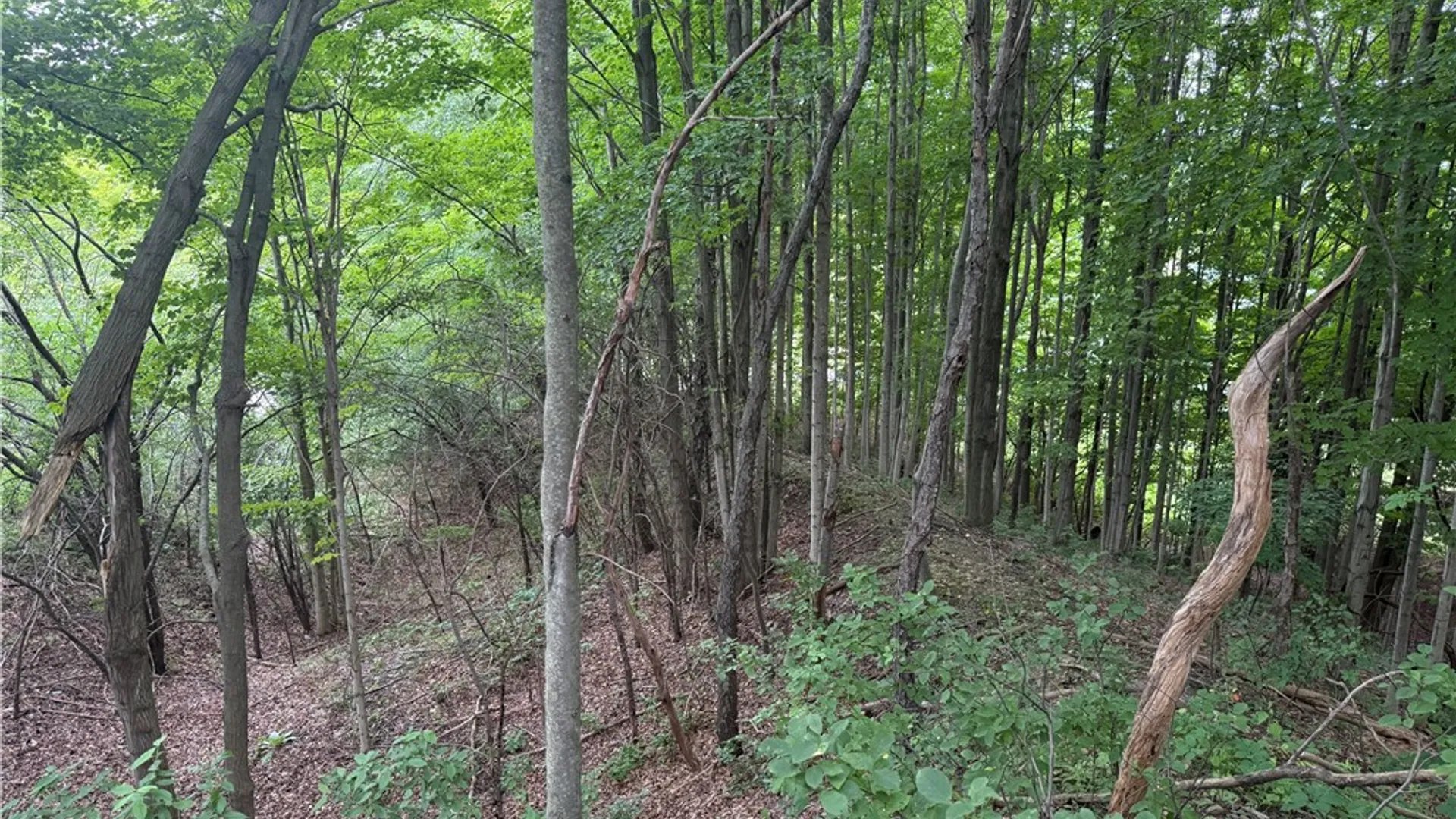 Property at 0 Hornell Reservoir Road, Fremont, NY 14843 9