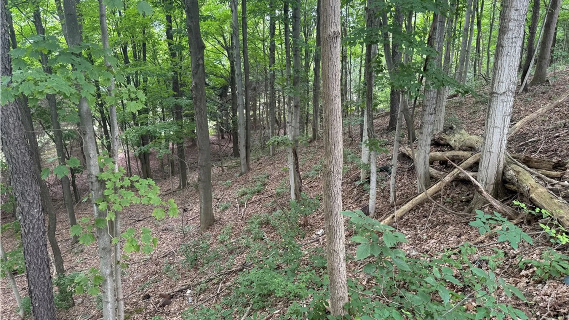 Property at 0 Hornell Reservoir Road, Fremont, NY 14843 10