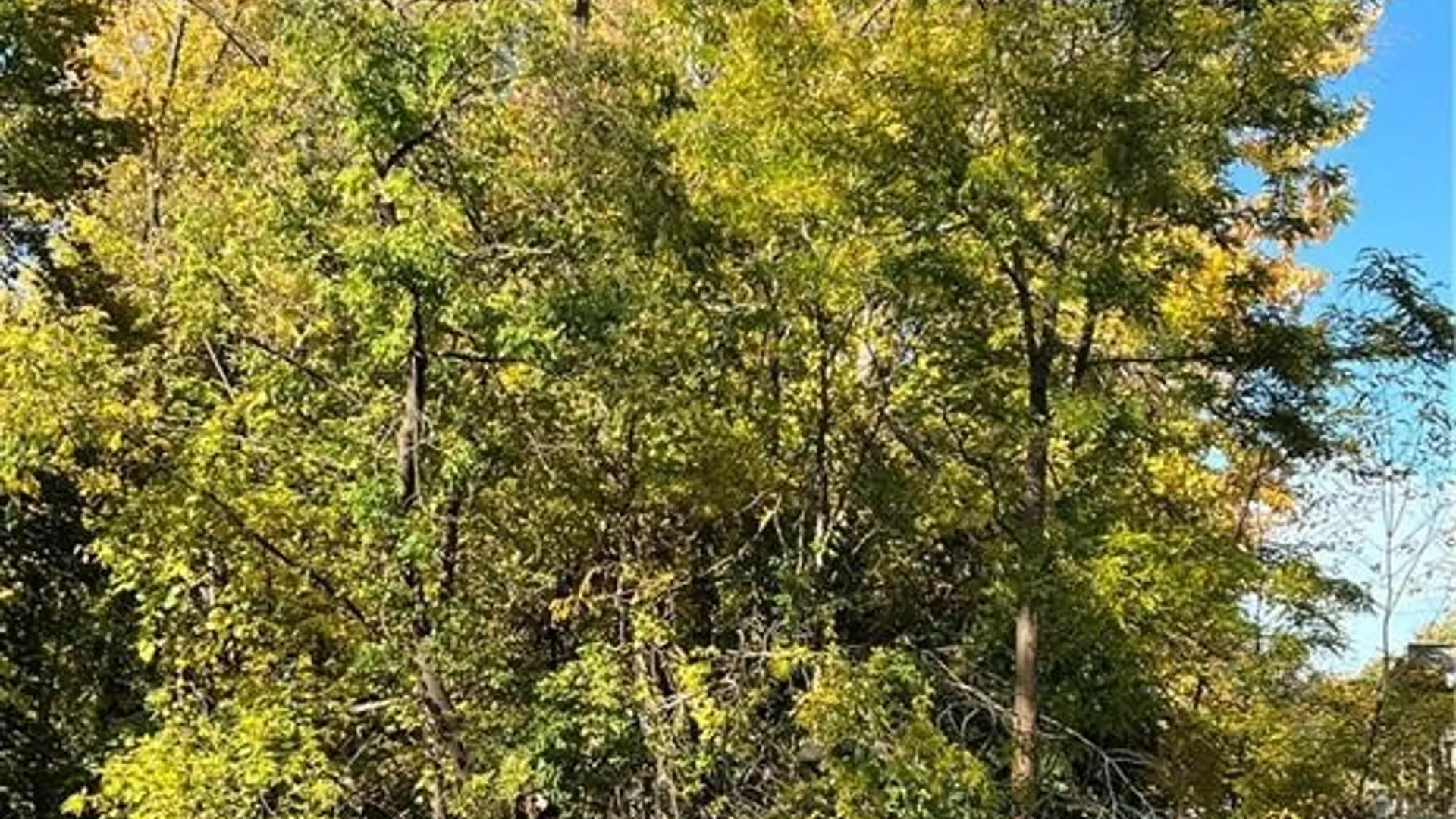 Property at 160 Straub Road, Greece, NY 14626 2