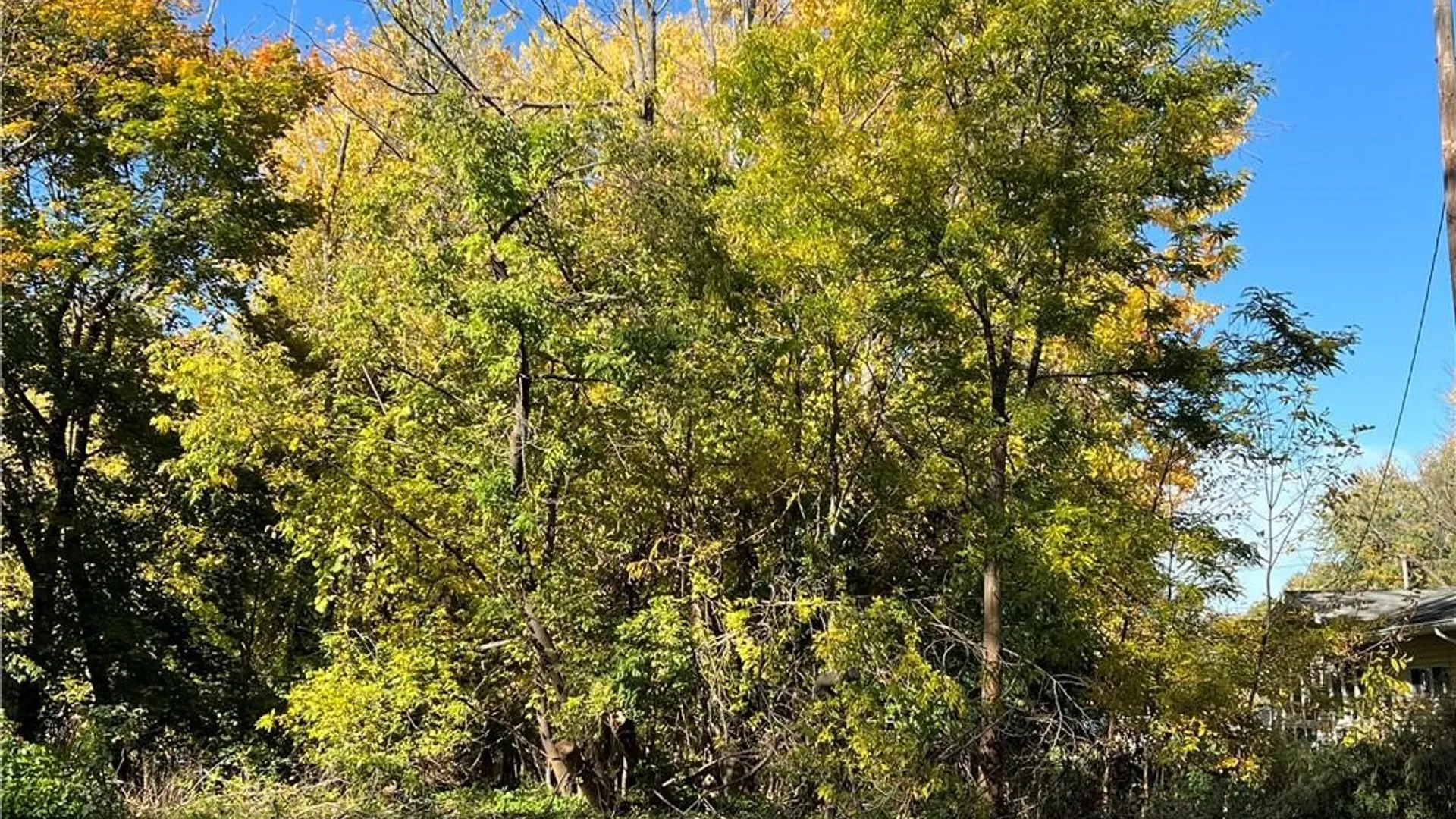 Property at 160 Straub Road, Greece, NY 14626 3