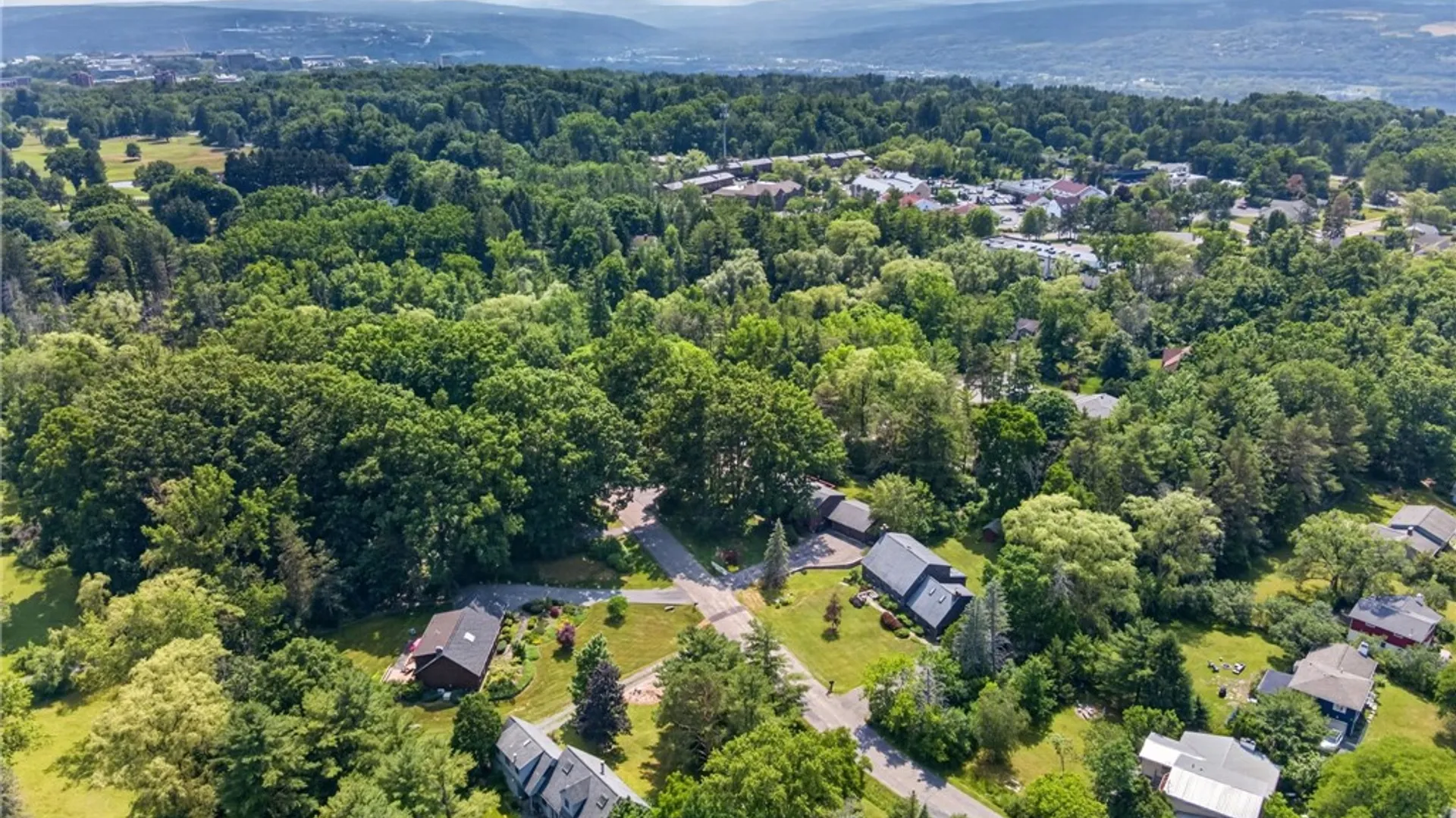 Property at 3 Lisa Lane, Ithaca Town, NY 14850 48