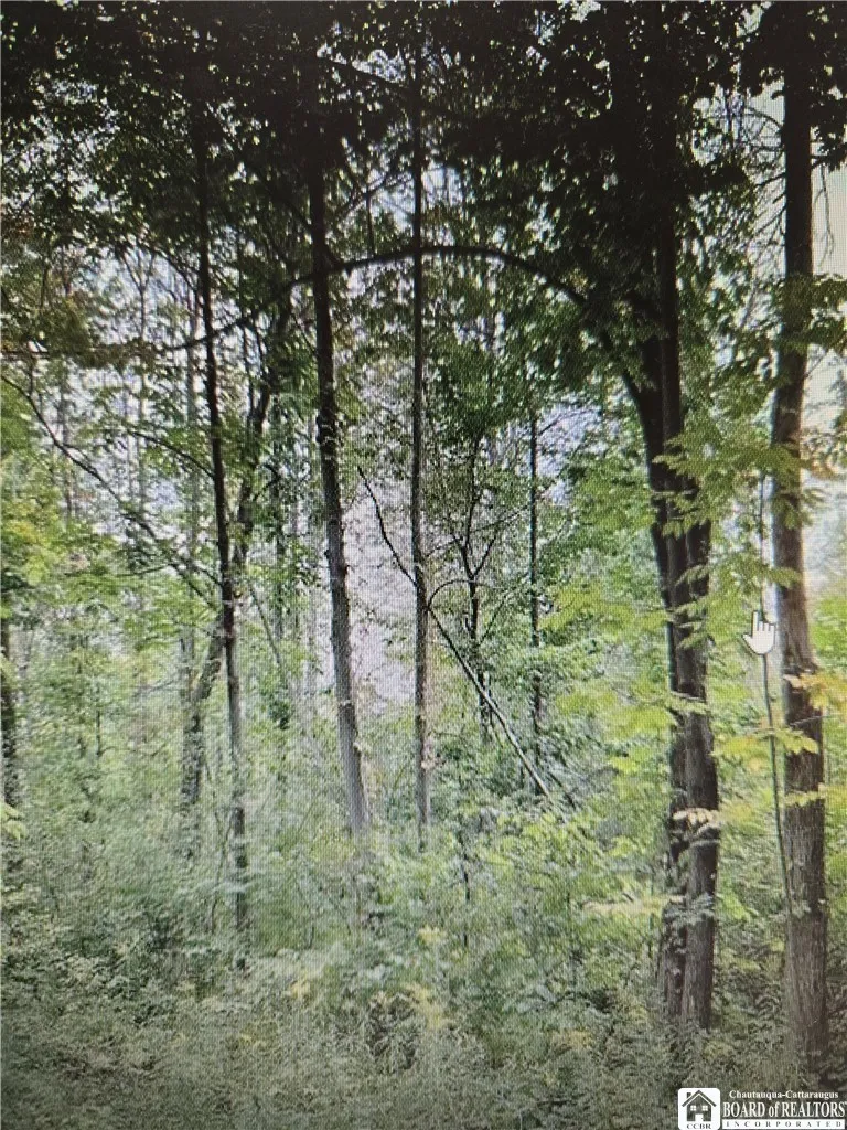 Property at 5 W Rt-5, Portland, NY 14769