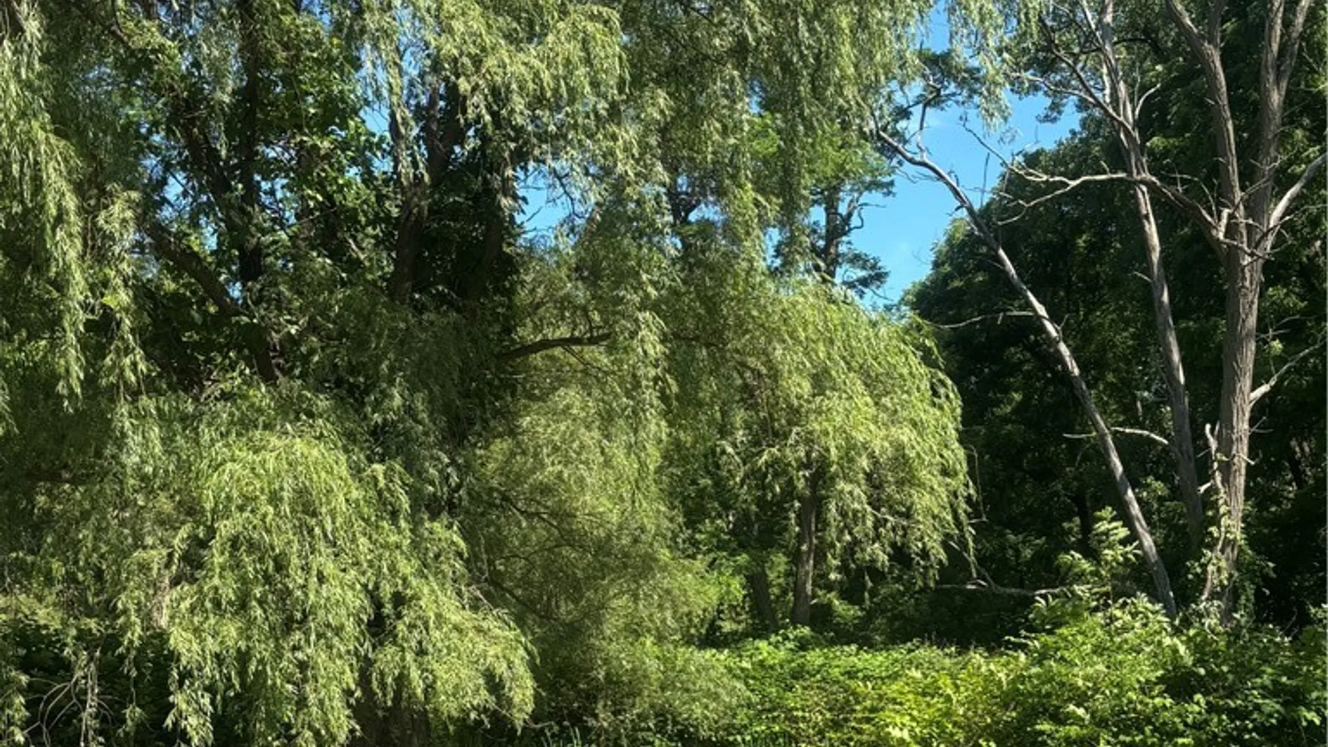 Property at 1995 Mill Street, Veteran, NY 14864 8