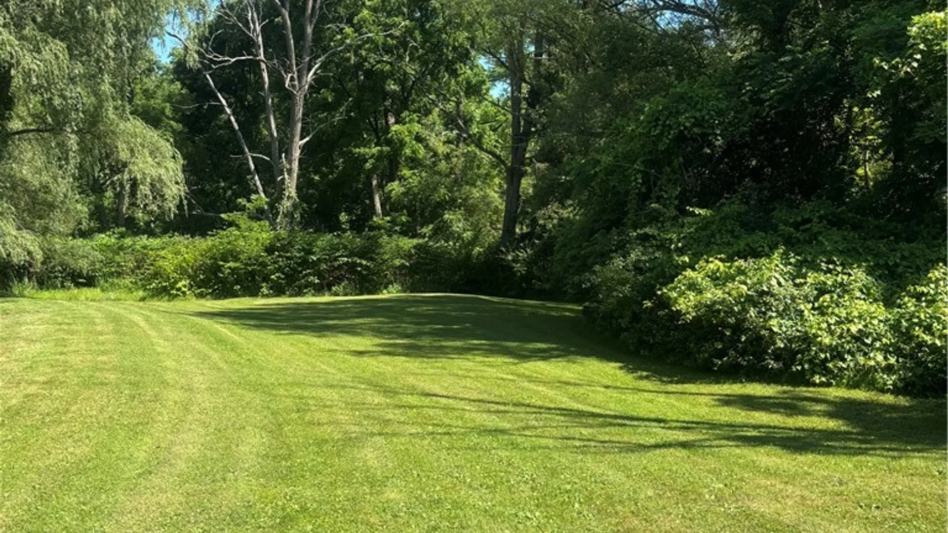 Property at 1995 Mill Street, Veteran, NY 14864 9
