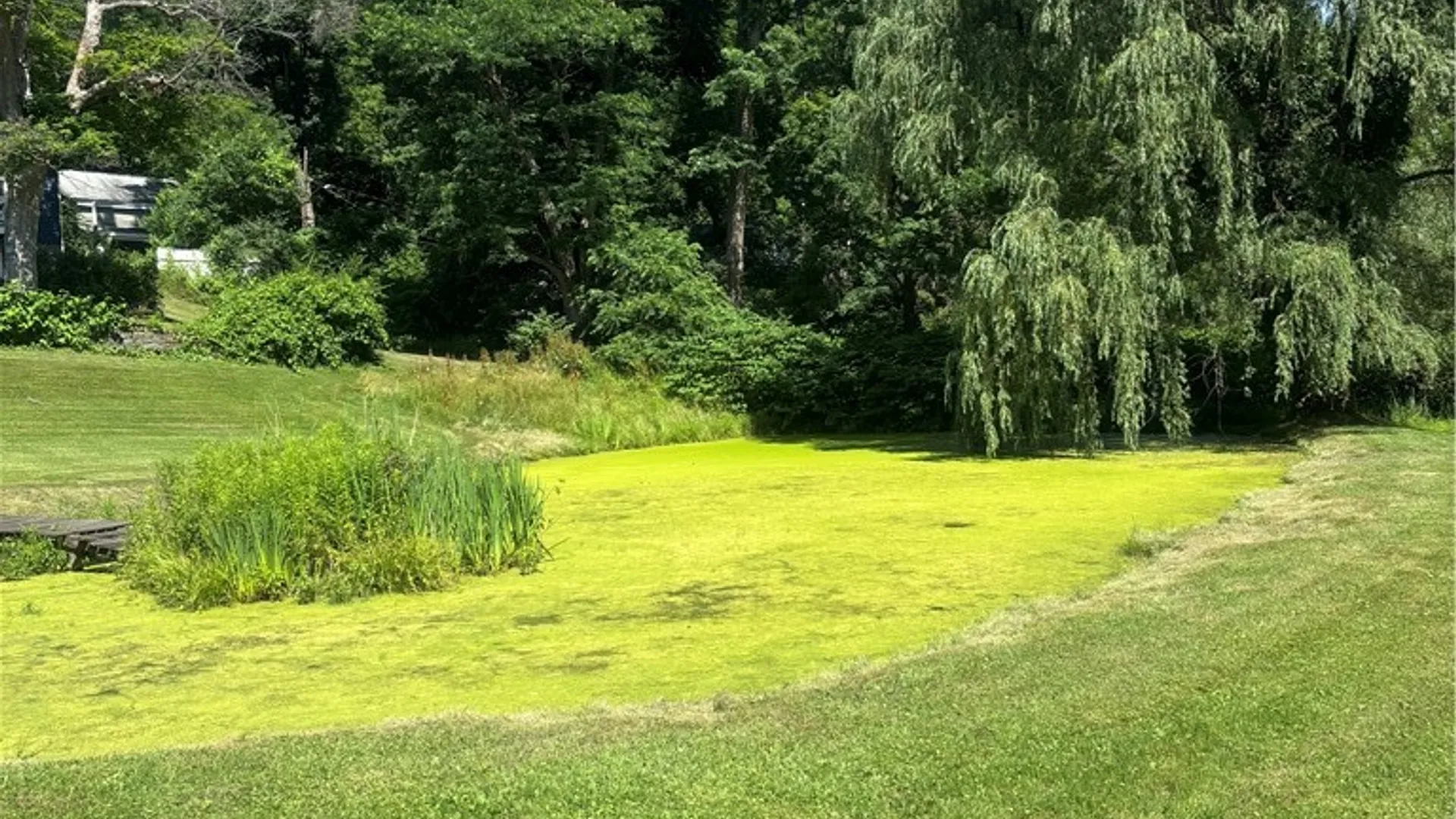 Property at 1995 Mill Street, Veteran, NY 14864 10