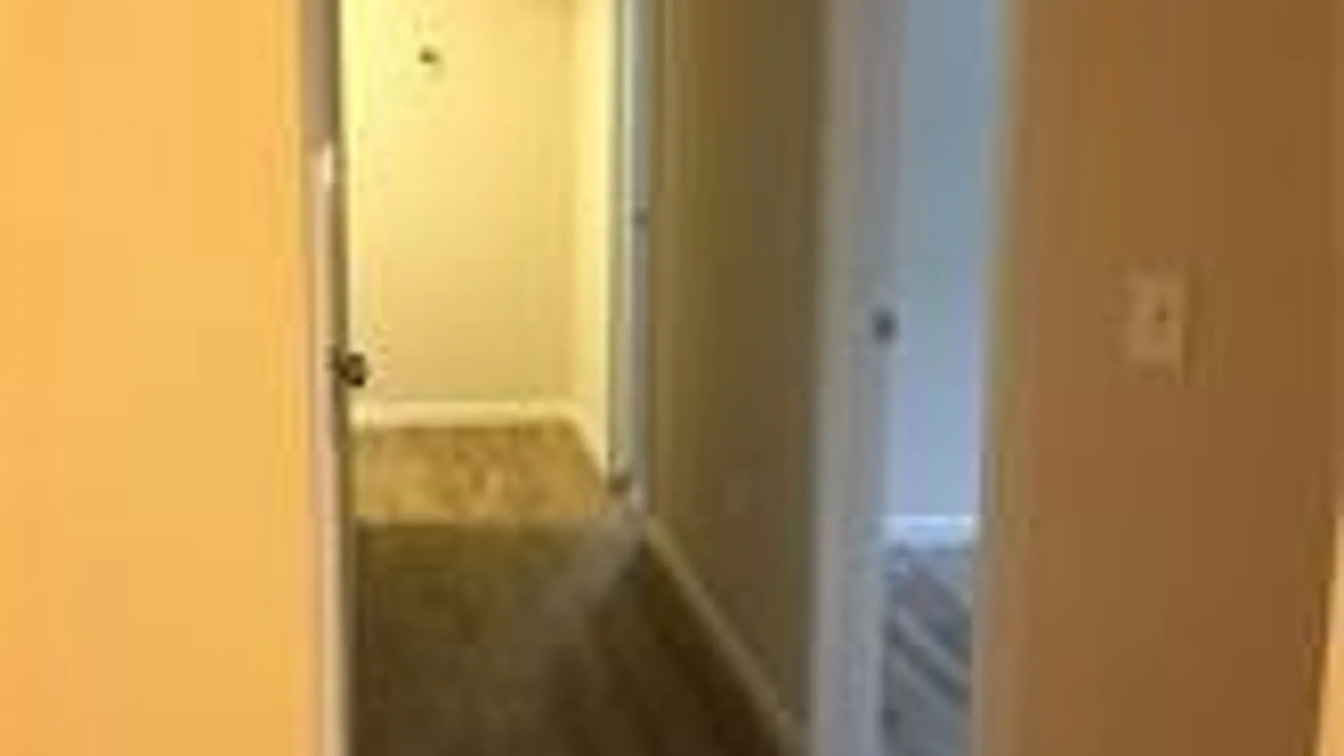 Property at 3195 Rt-350, Macedon, NY 14502 15