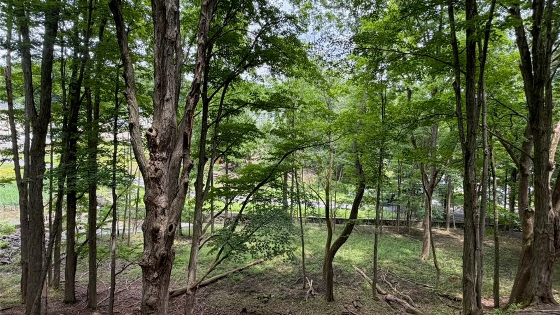 Property at 82 West, Oneonta, NY 13820 44