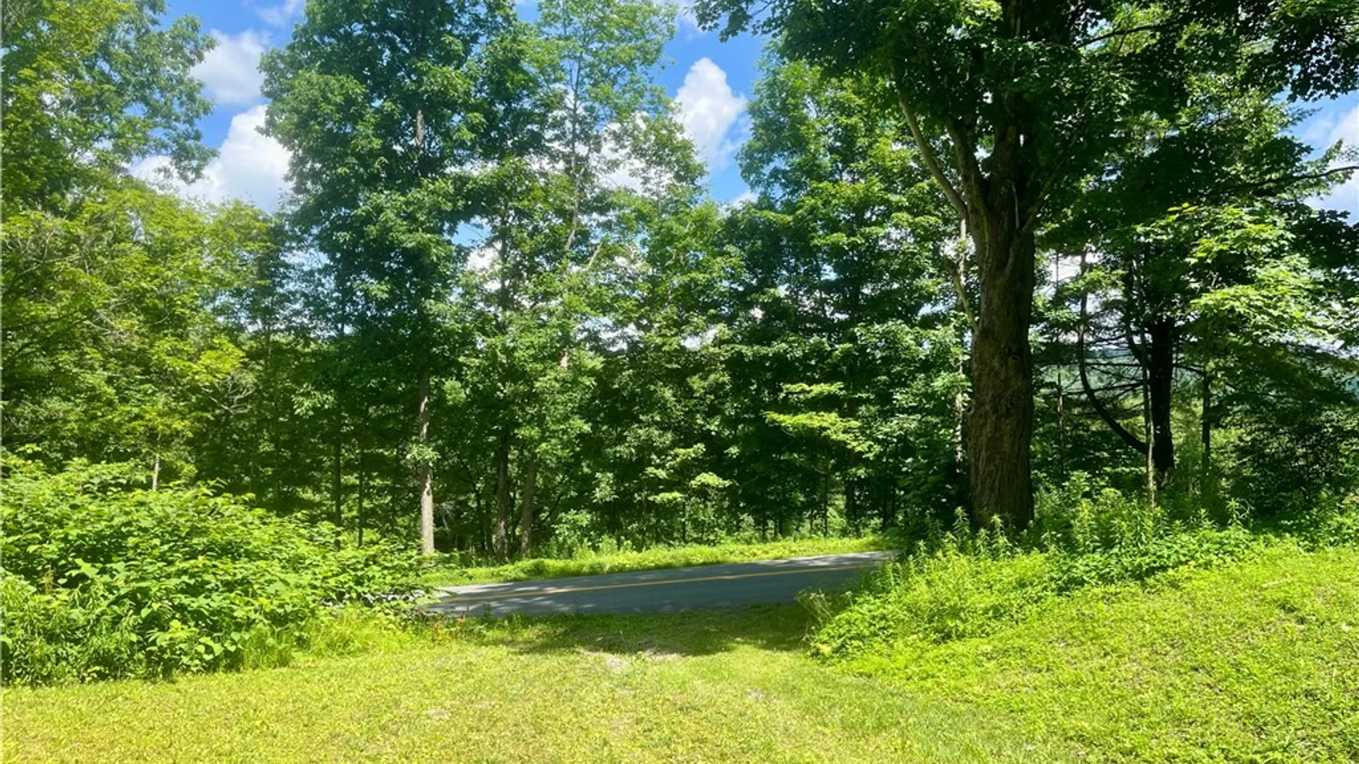 Property at County Highway 26, Otsego, NY 13337 4