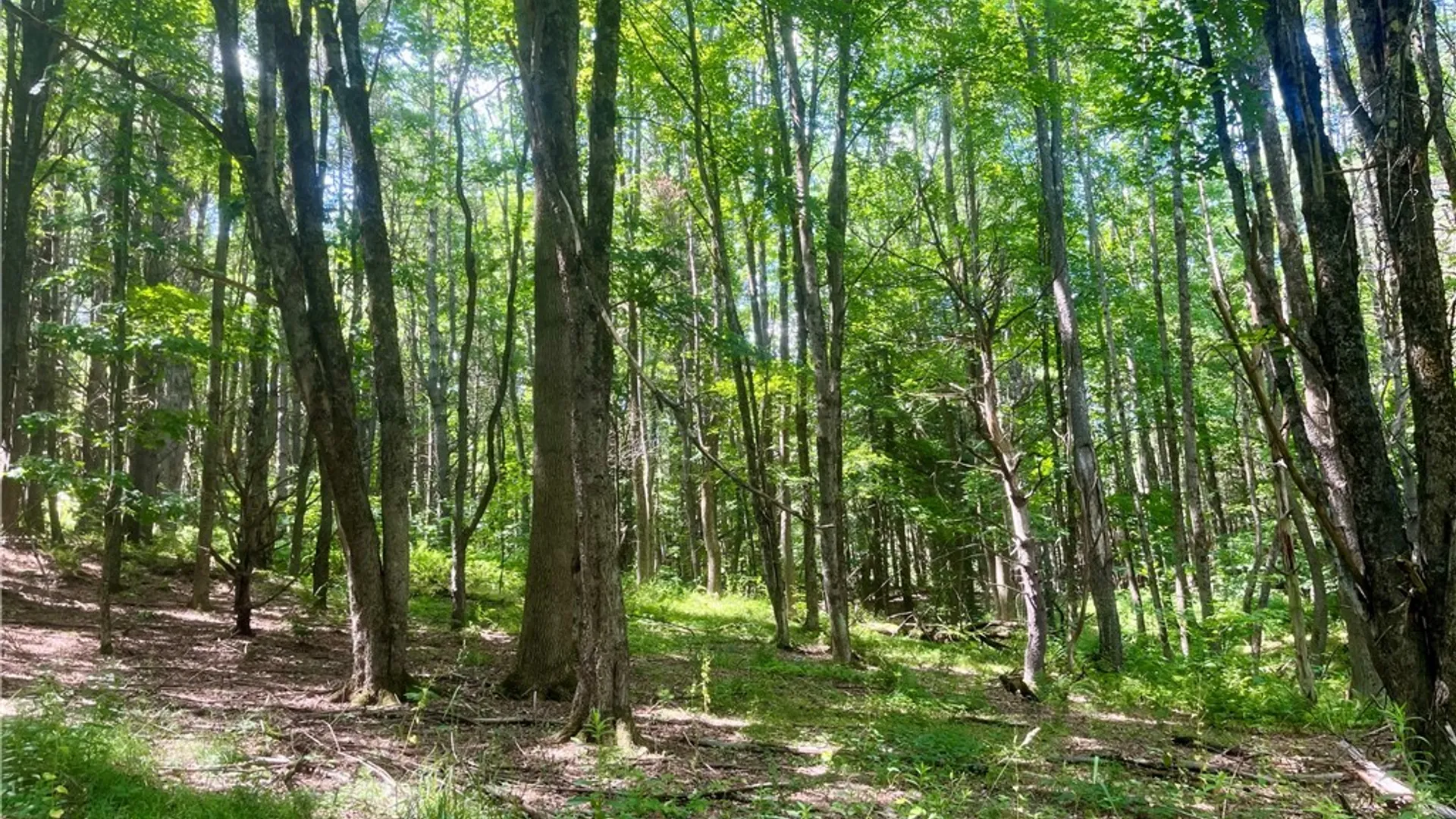 Property at County Highway 26, Otsego, NY 13337 6