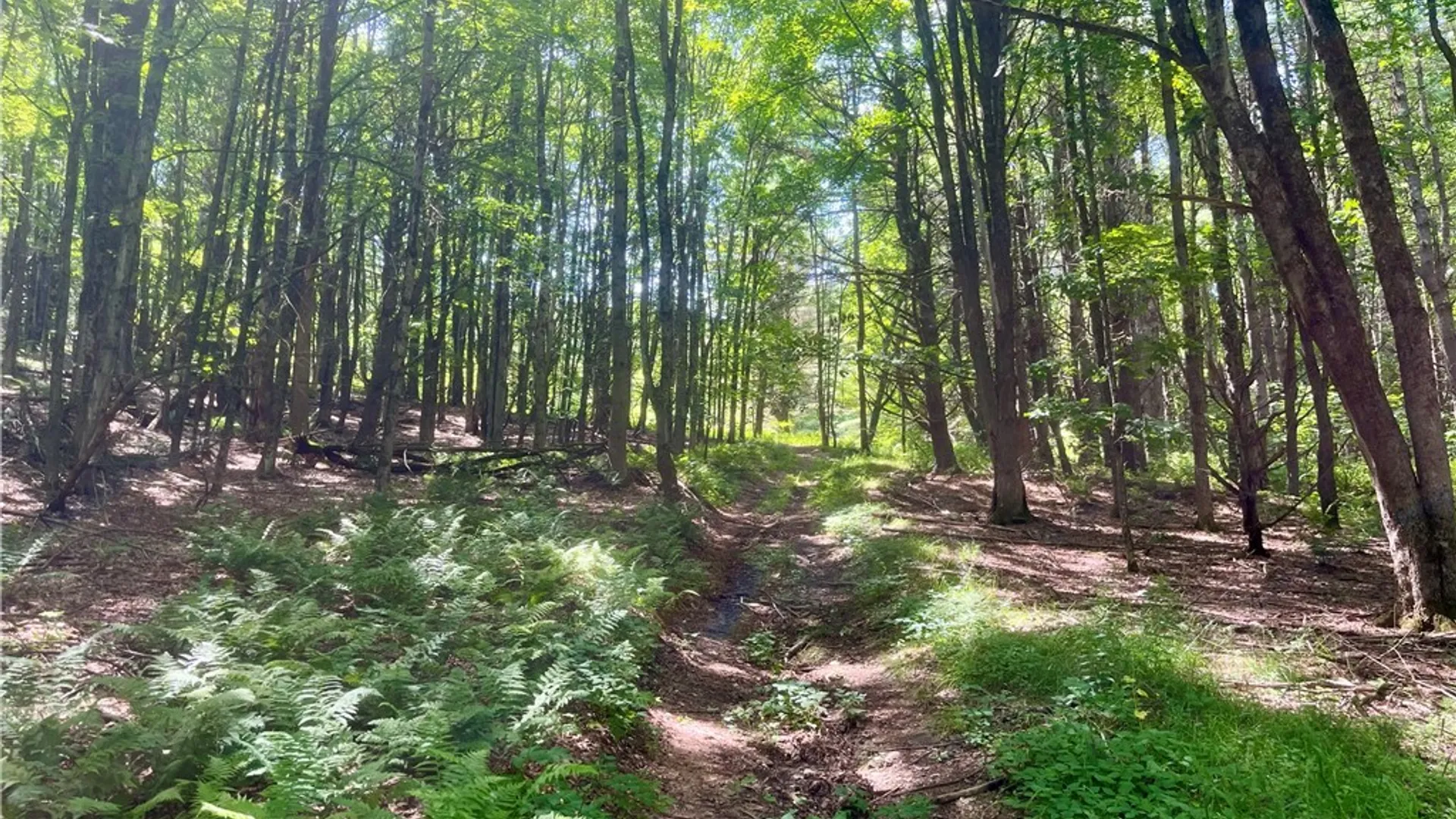 Property at County Highway 26, Otsego, NY 13337 7