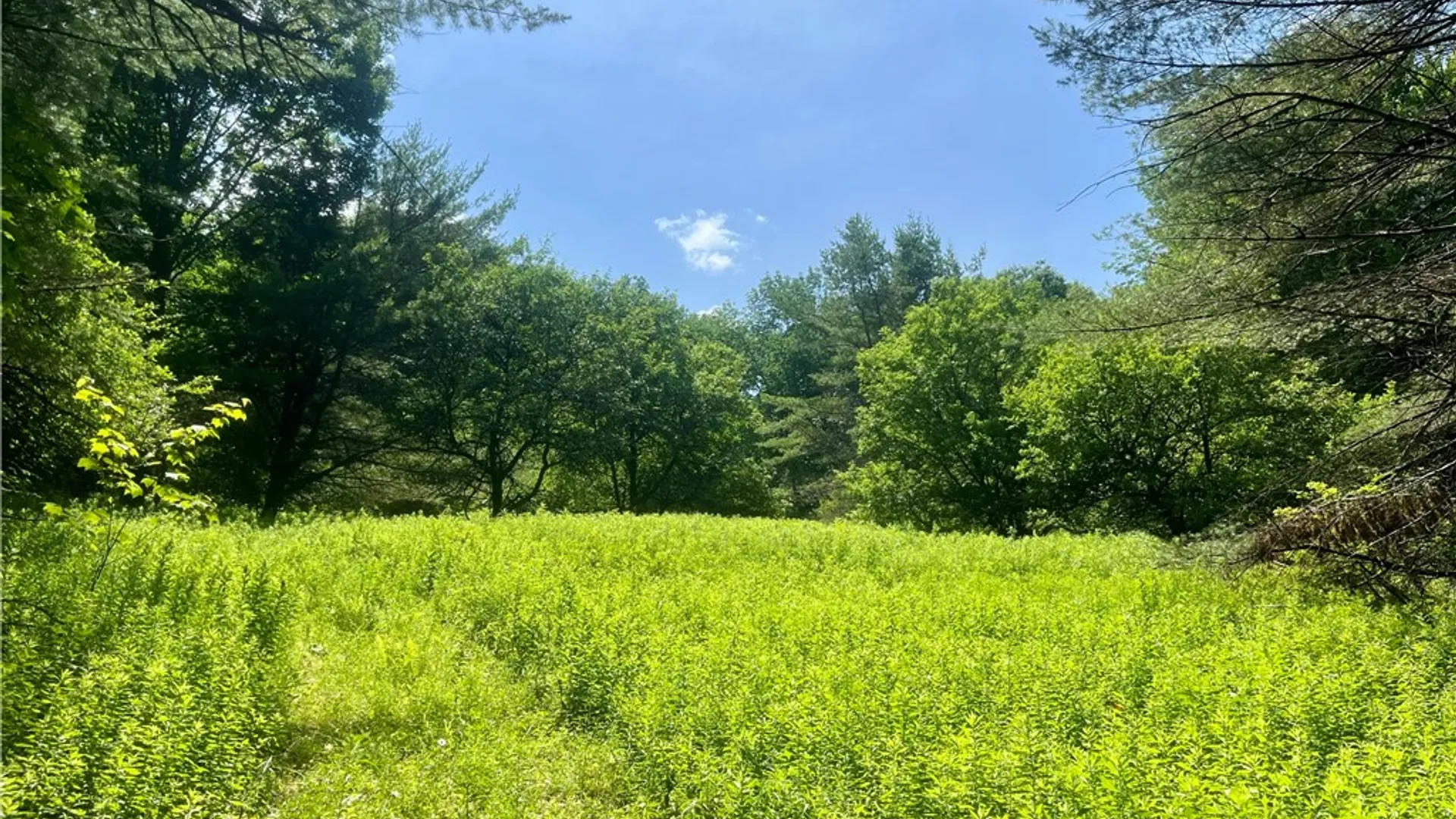 Property at County Highway 26, Otsego, NY 13337 8