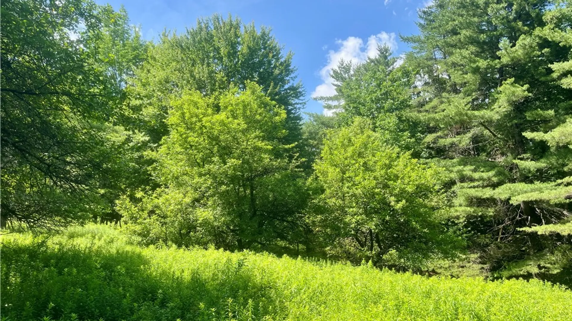 Property at County Highway 26, Otsego, NY 13337 9