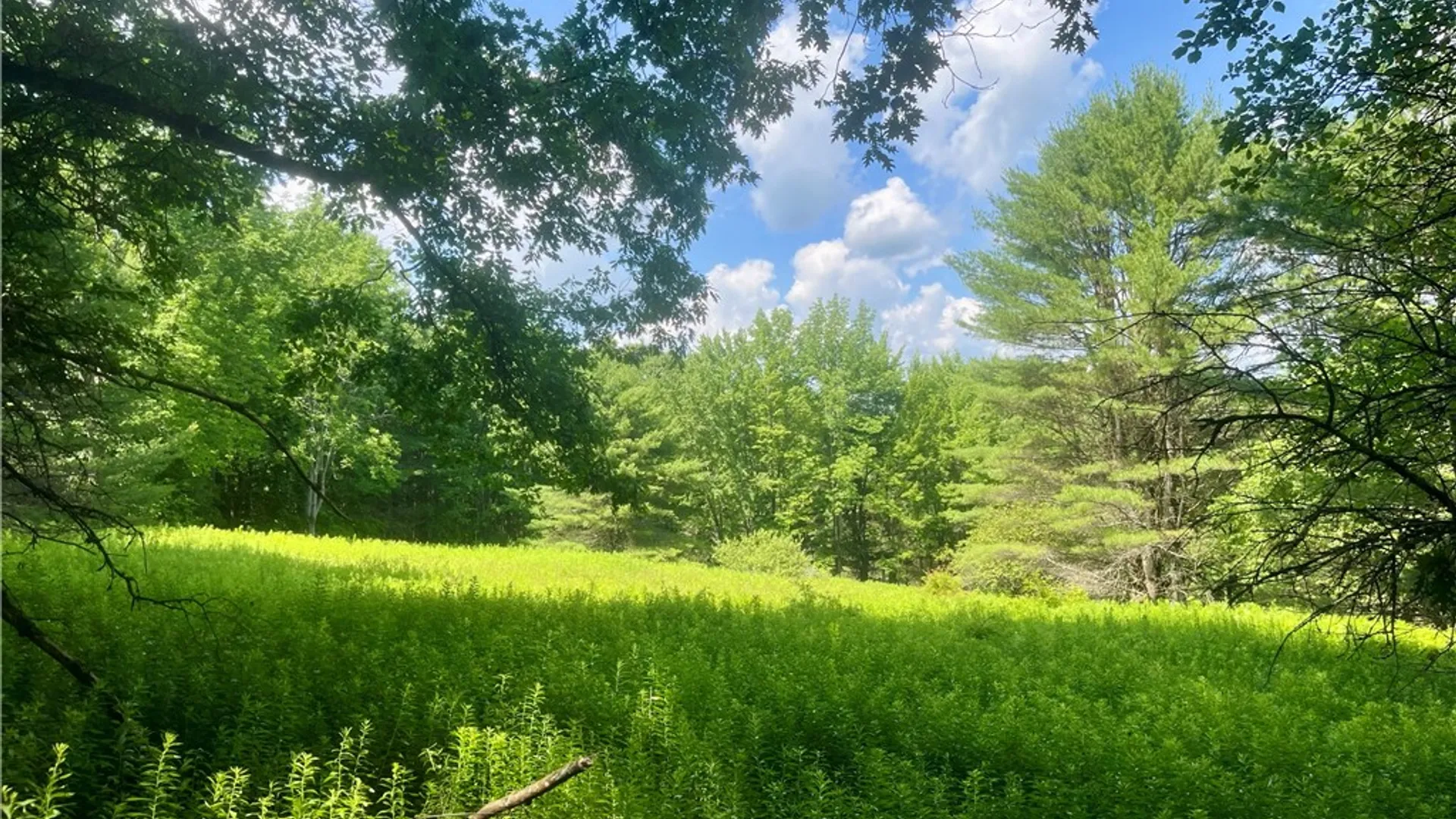 Property at County Highway 26, Otsego, NY 13337 10