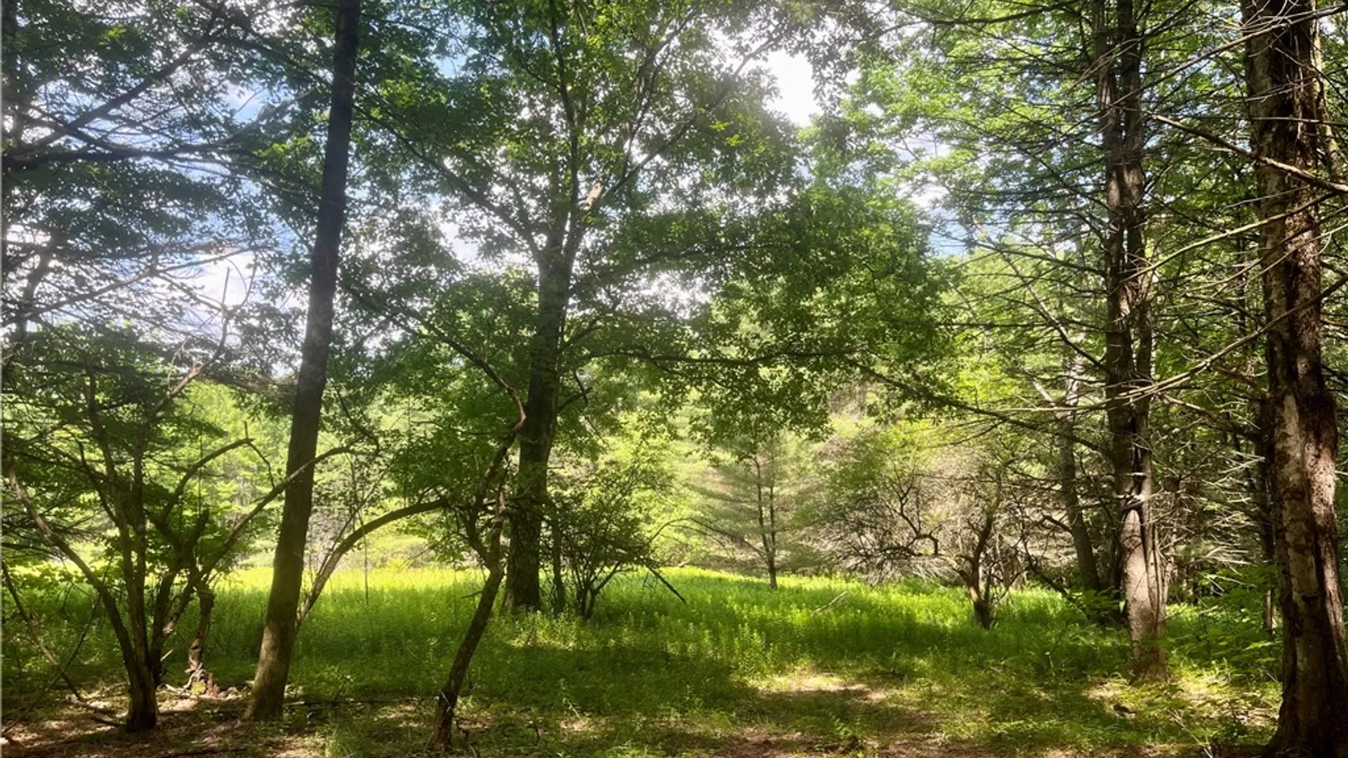 Property at County Highway 26, Otsego, NY 13337 11