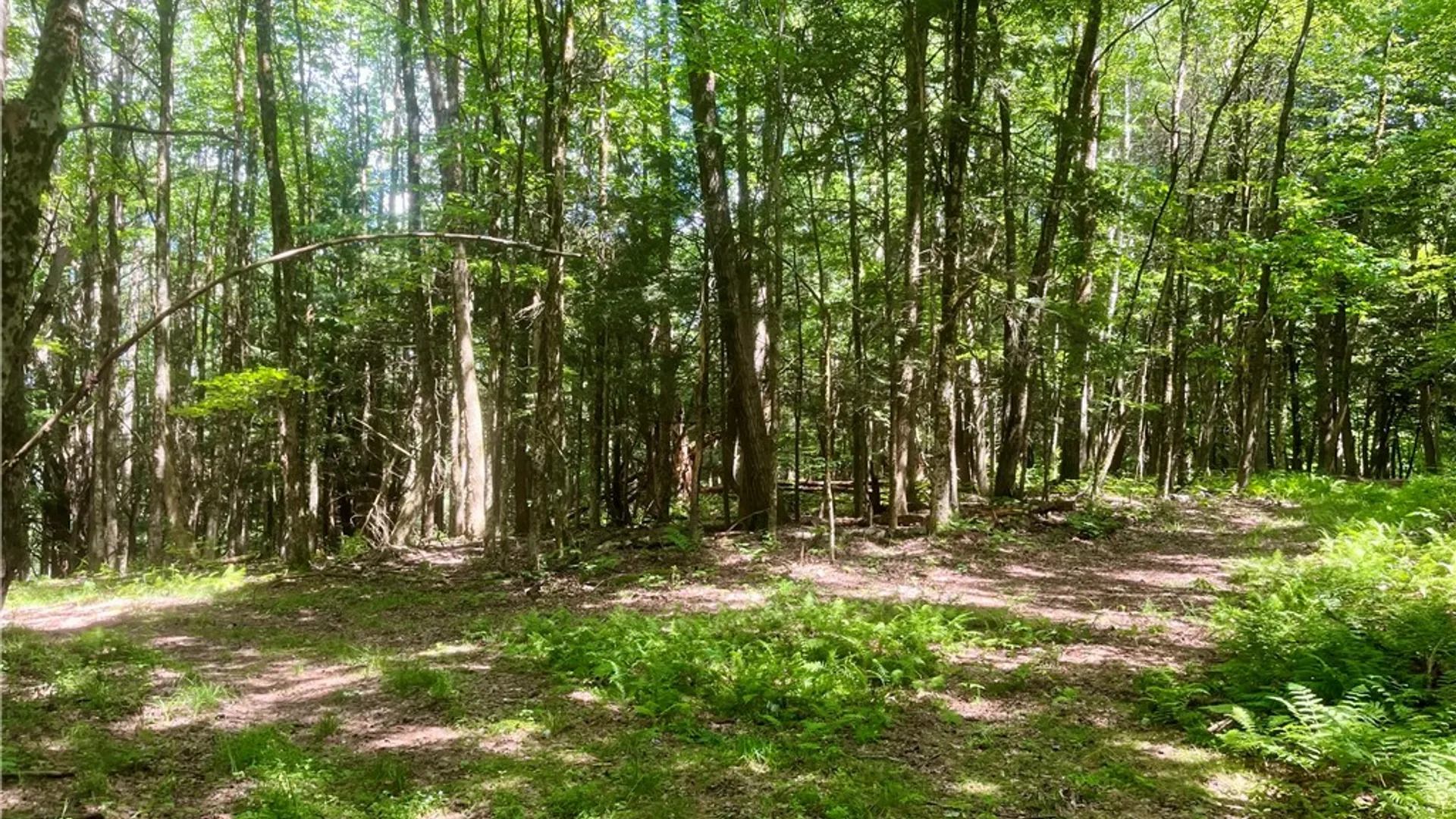 Property at County Highway 26, Otsego, NY 13337 12