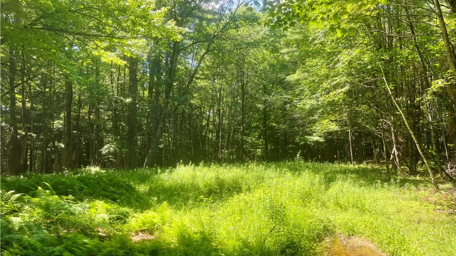 Property at County Highway 26, Otsego, NY 13337 13