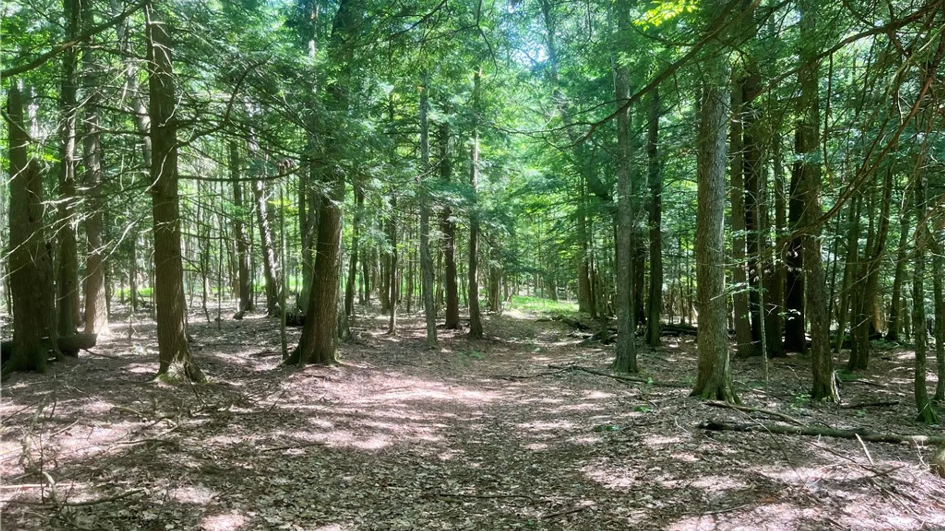 Property at County Highway 26, Otsego, NY 13337 14