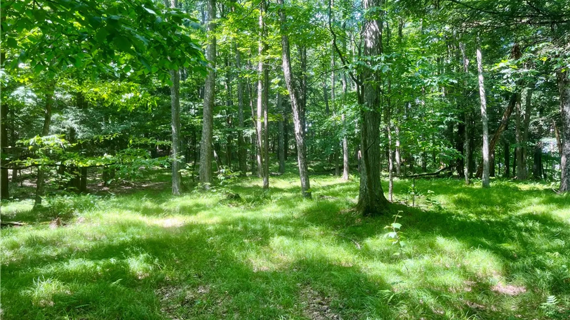 Property at County Highway 26, Otsego, NY 13337 15