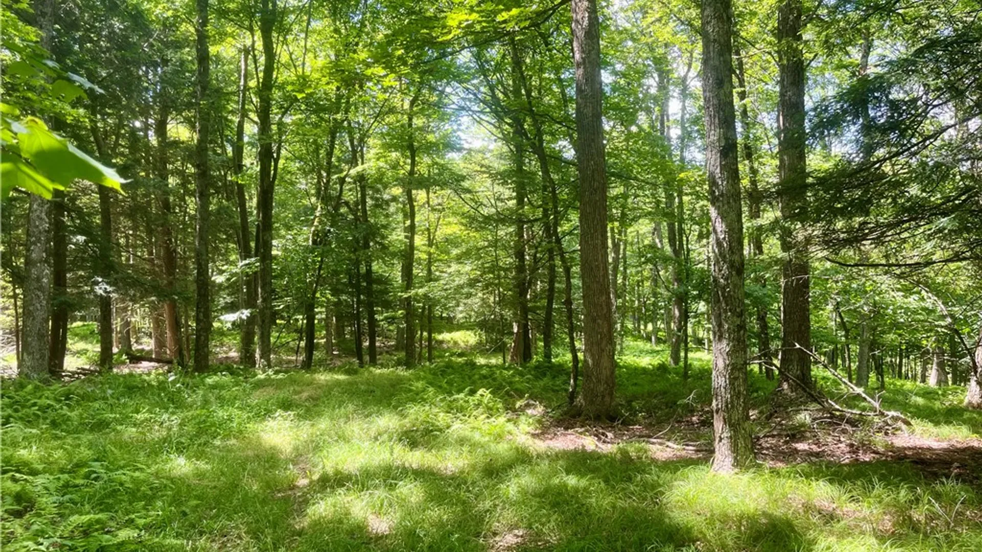 Property at County Highway 26, Otsego, NY 13337 16