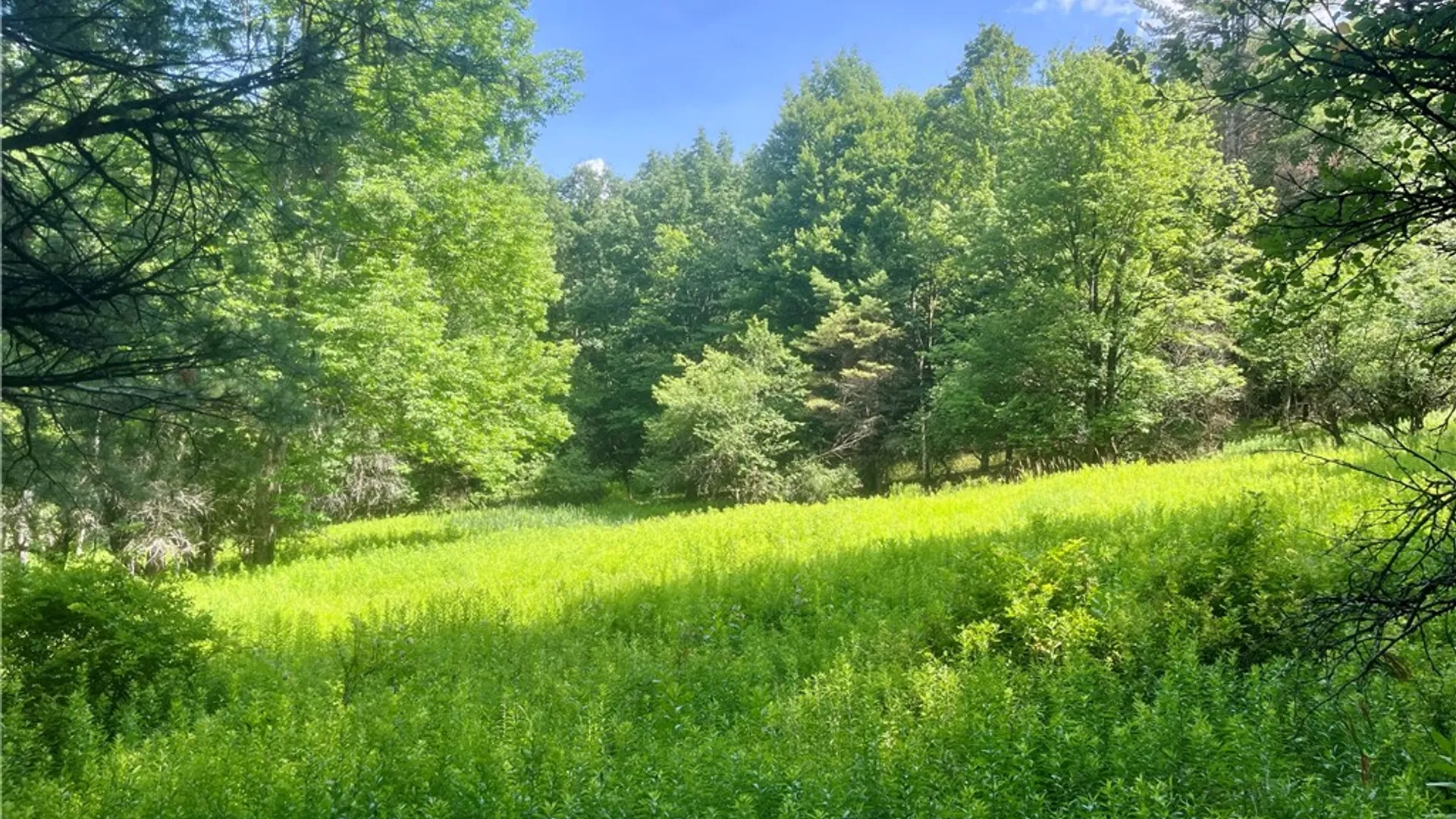 Property at County Highway 26, Otsego, NY 13337 18