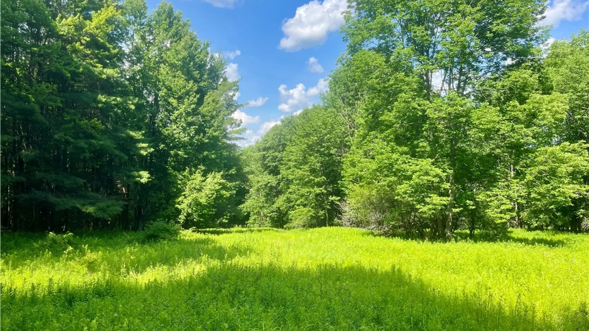 Property at County Highway 26, Otsego, NY 13337 19