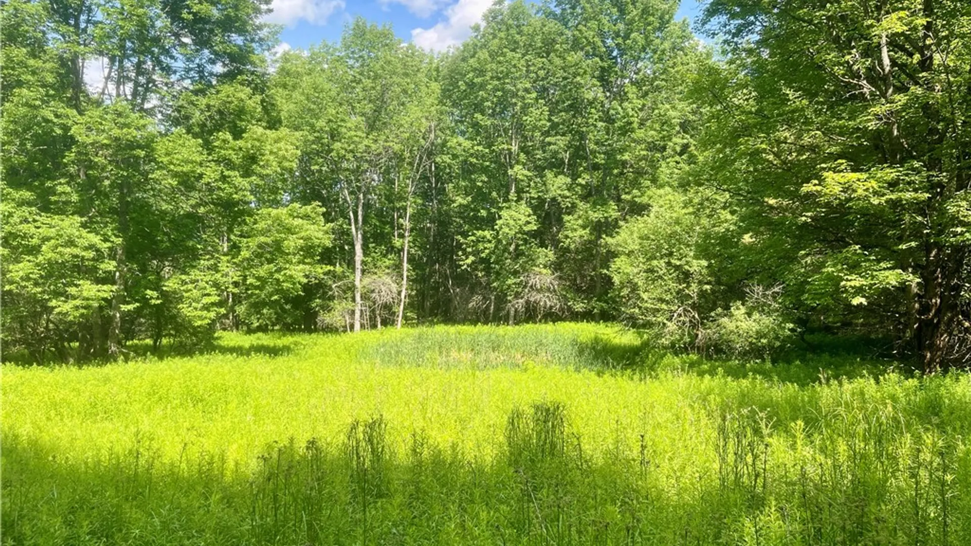 Property at County Highway 26, Otsego, NY 13337 20