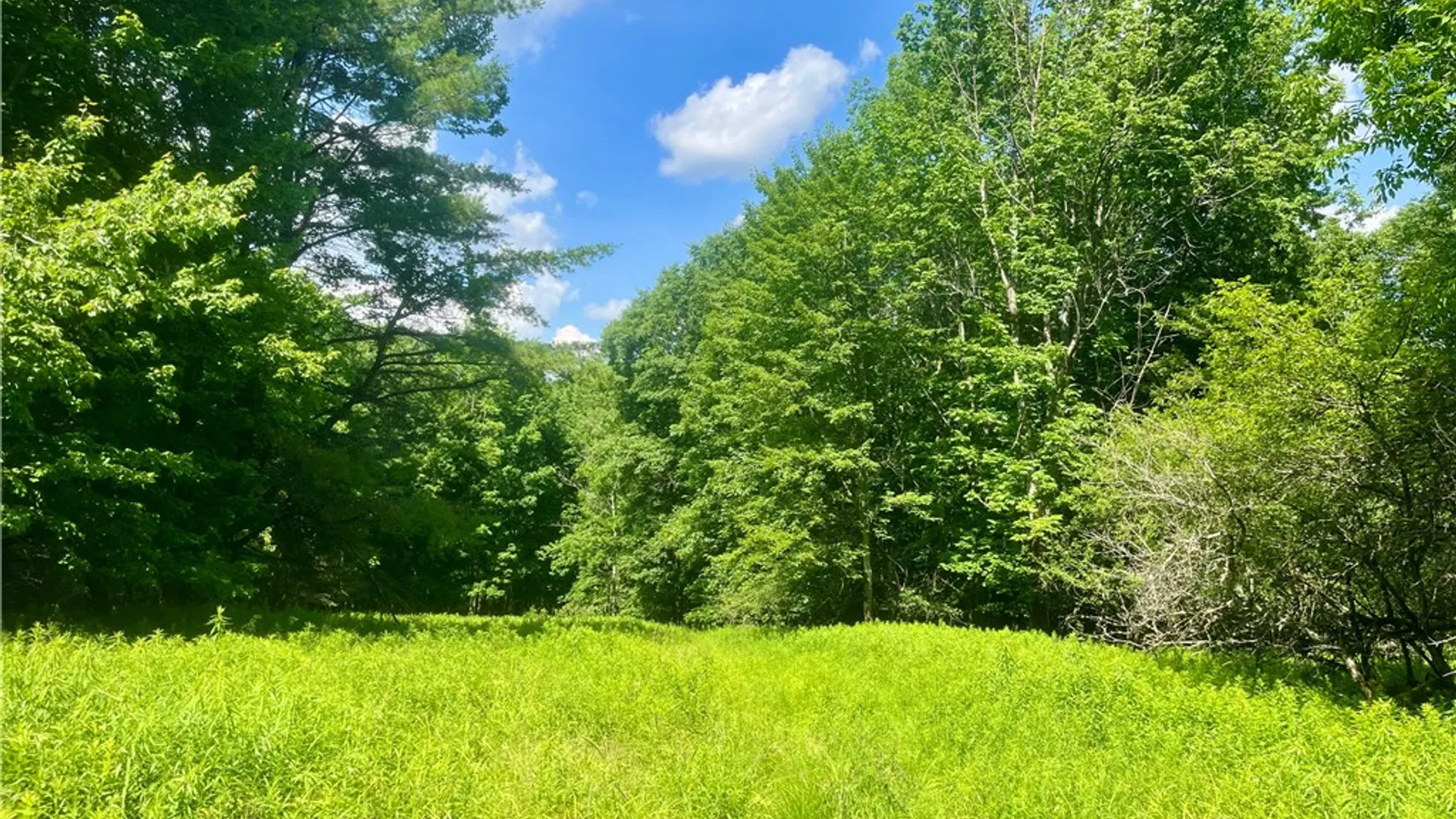 Property at County Highway 26, Otsego, NY 13337 21