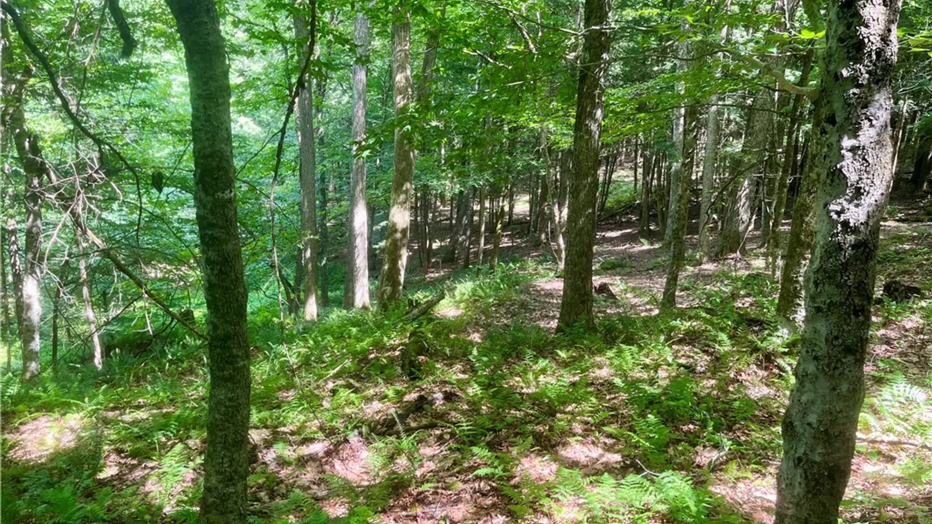 Property at County Highway 26, Otsego, NY 13337 22