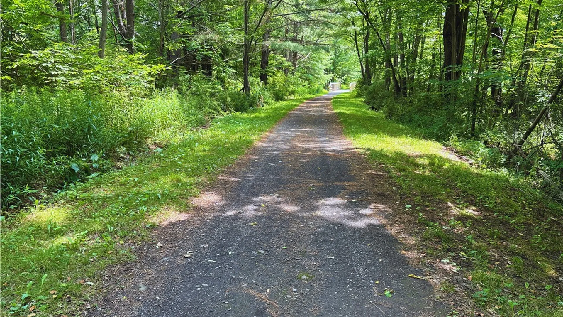 Property at 15 W End Avenue, Harpersfield, NY 12167 45