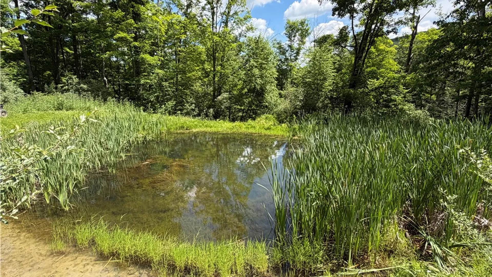 Property at VL Catatunk Road, Canisteo, NY 14823 2