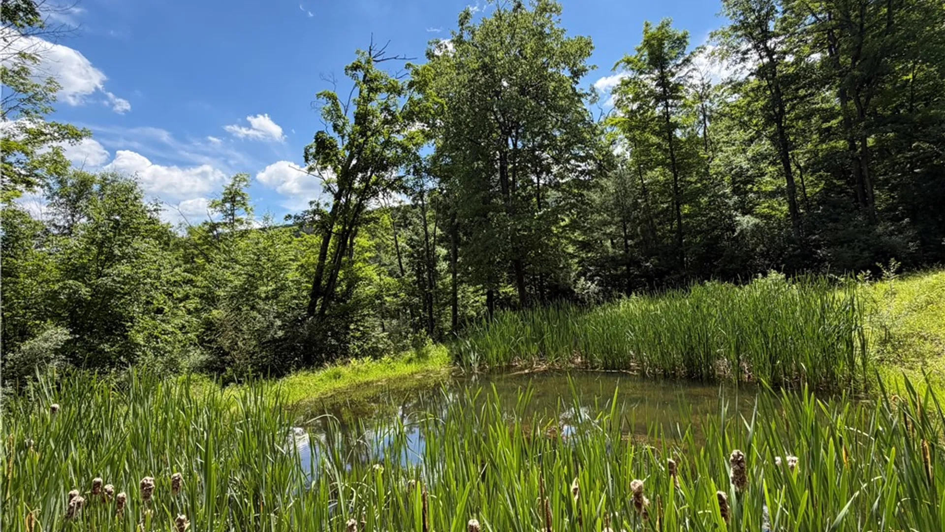 Property at VL Catatunk Road, Canisteo, NY 14823 24