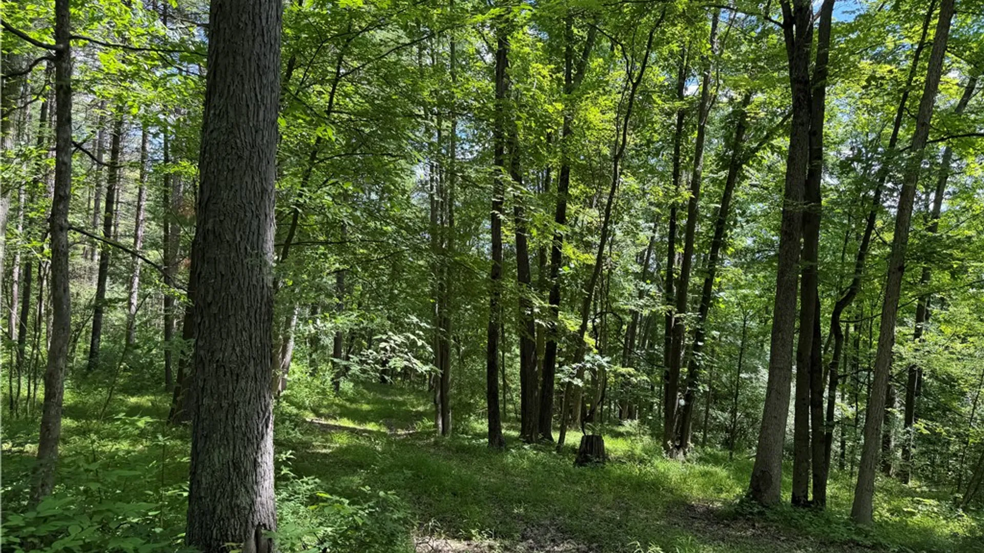Property at VL Catatunk Road, Canisteo, NY 14823 25