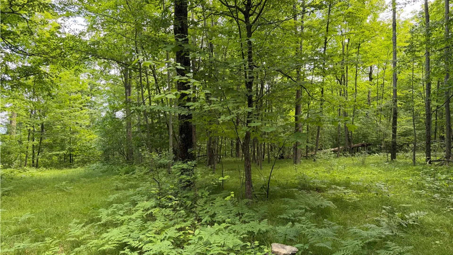 Property at VL Catatunk Road, Canisteo, NY 14823 26