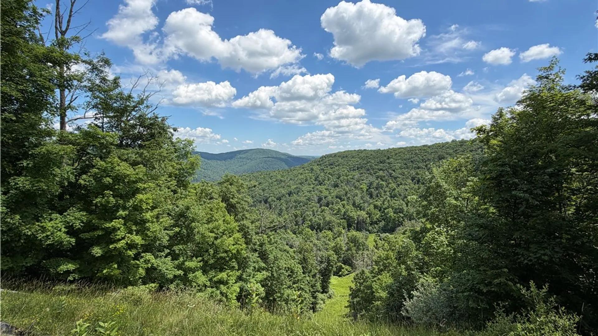 Property at VL Catatunk Road, Canisteo, NY 14823 28